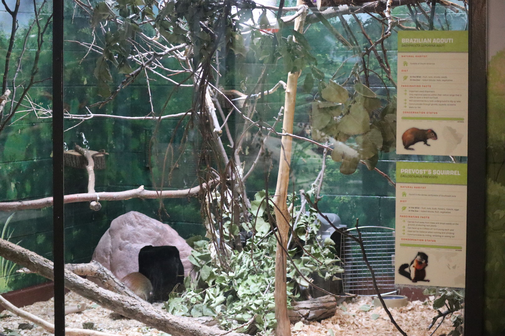 Average Animal Kingdom Building Exhibit