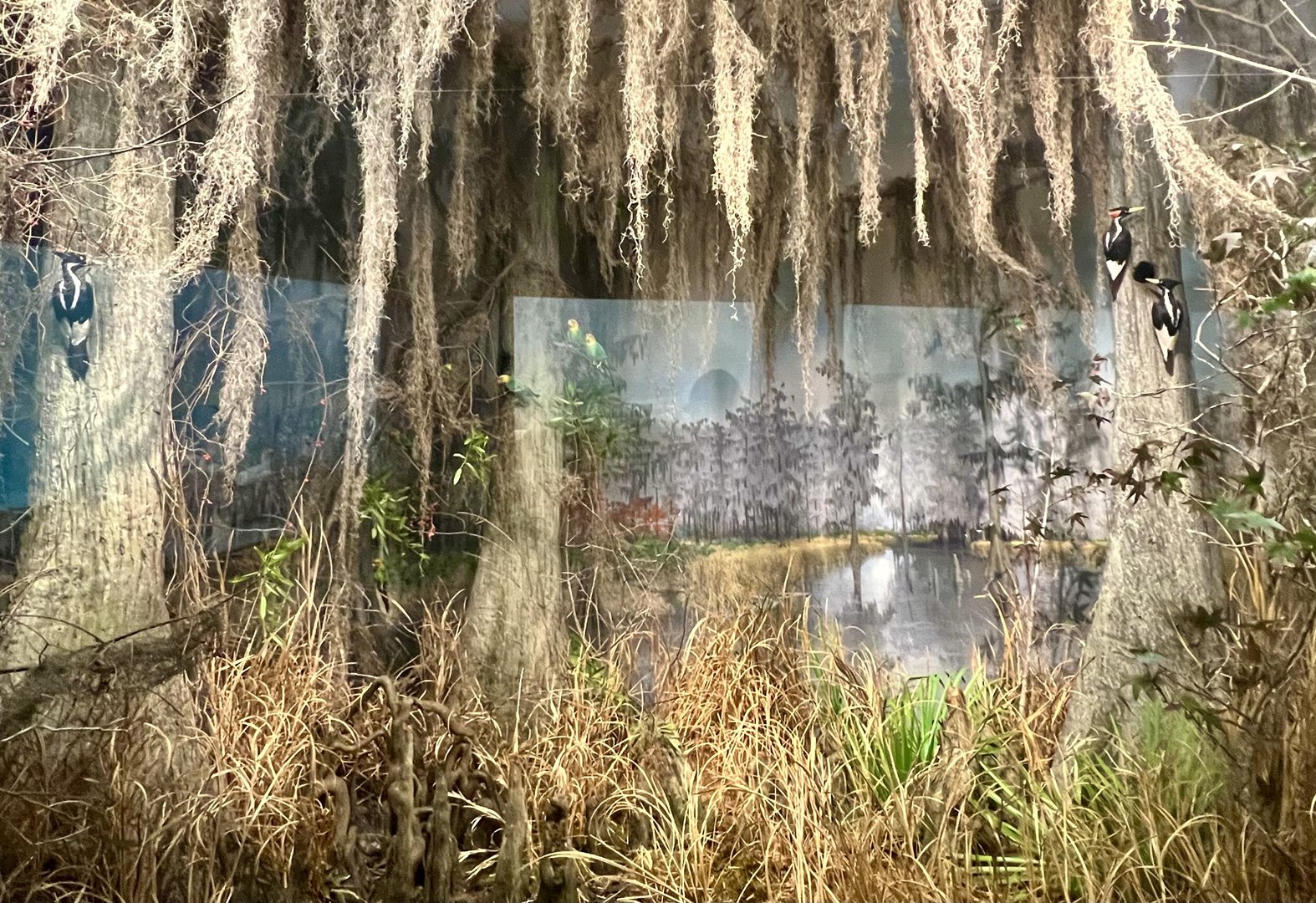 Avery Island Diorama