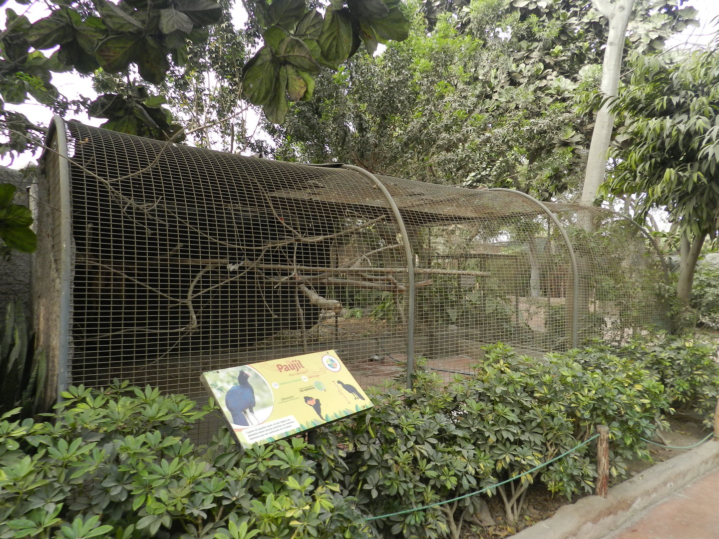 Aves de la Amazonia, razor-billed curassow exhibit  - Parque Zoológico Huachipa