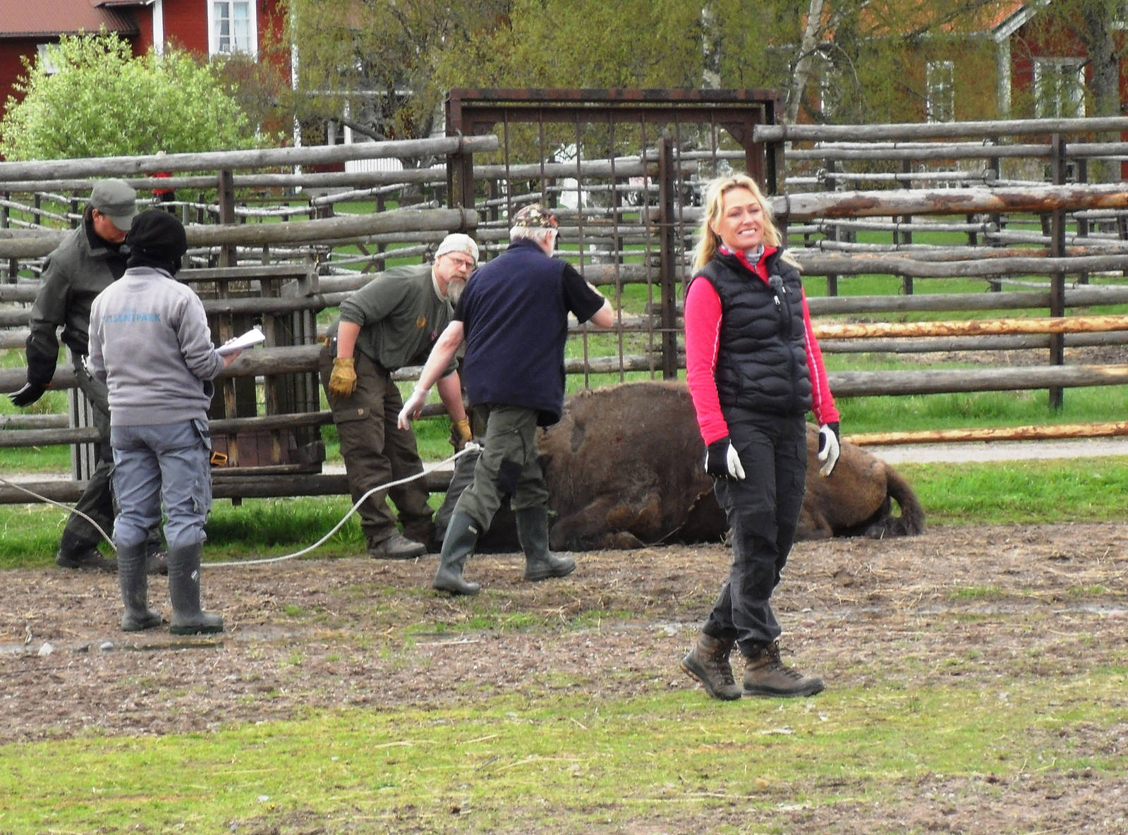 Avesta, in the middle of the nature, is Rewilding Europe
