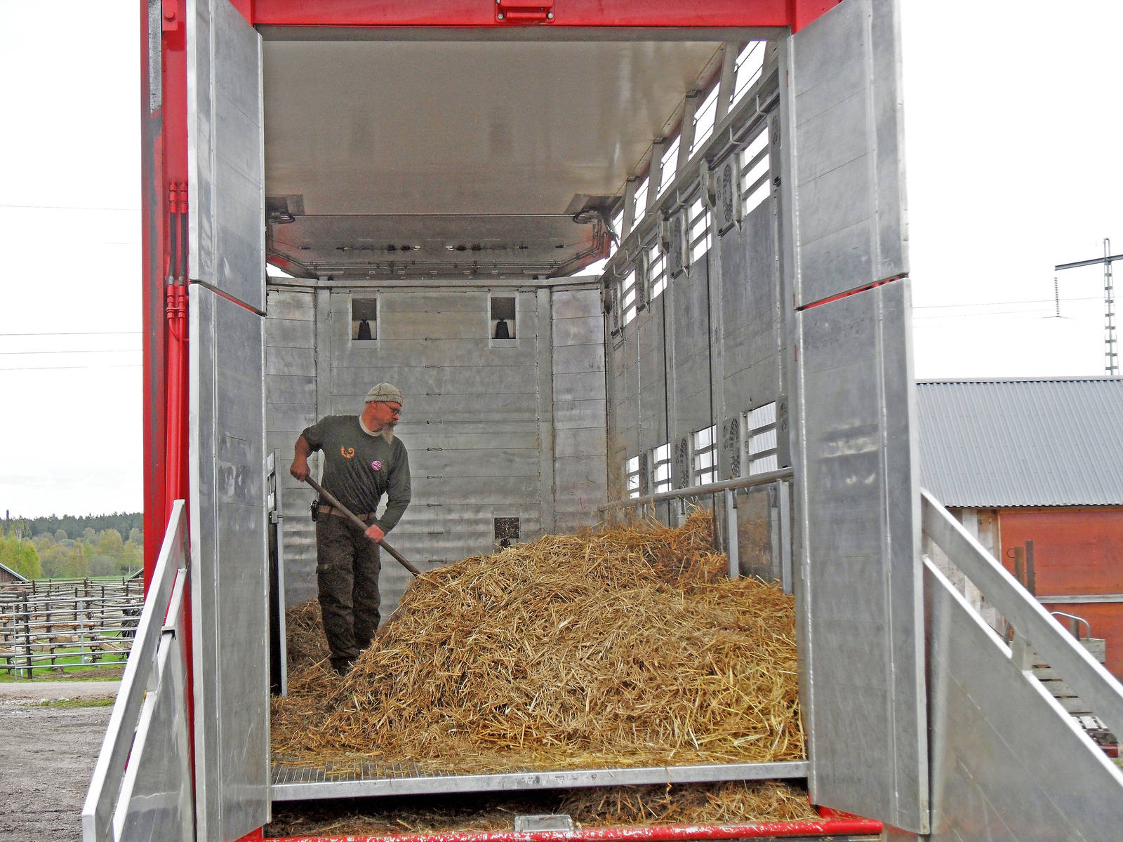 Avesta, in the middle of the nature, Rewilding Europe