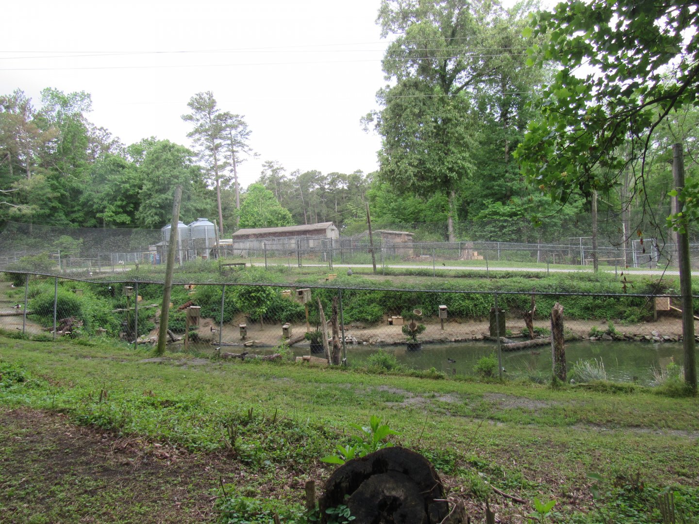 Avian Breeding Center