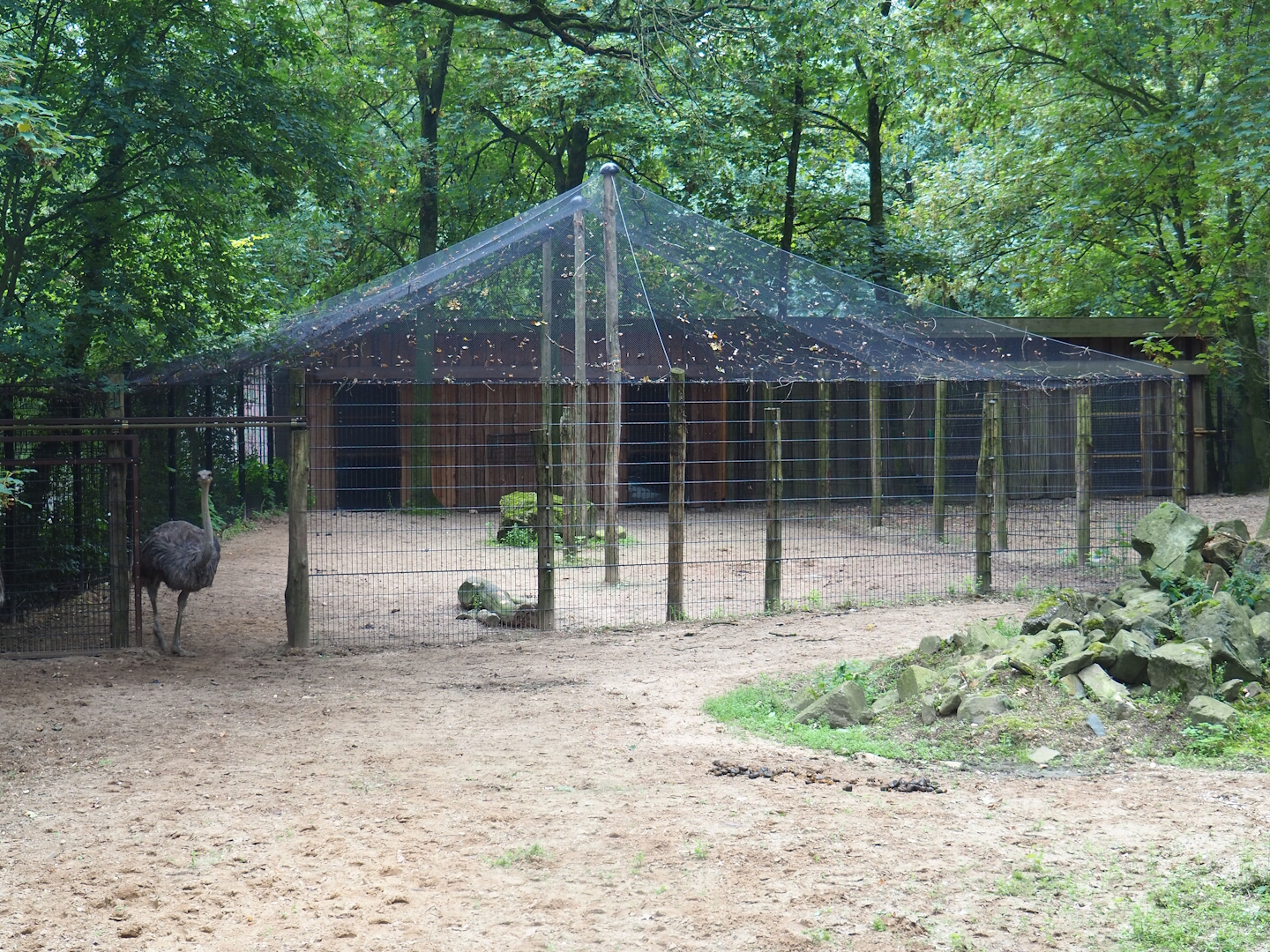 Avian influenza safety holding area for ostriches, 2023-08-17