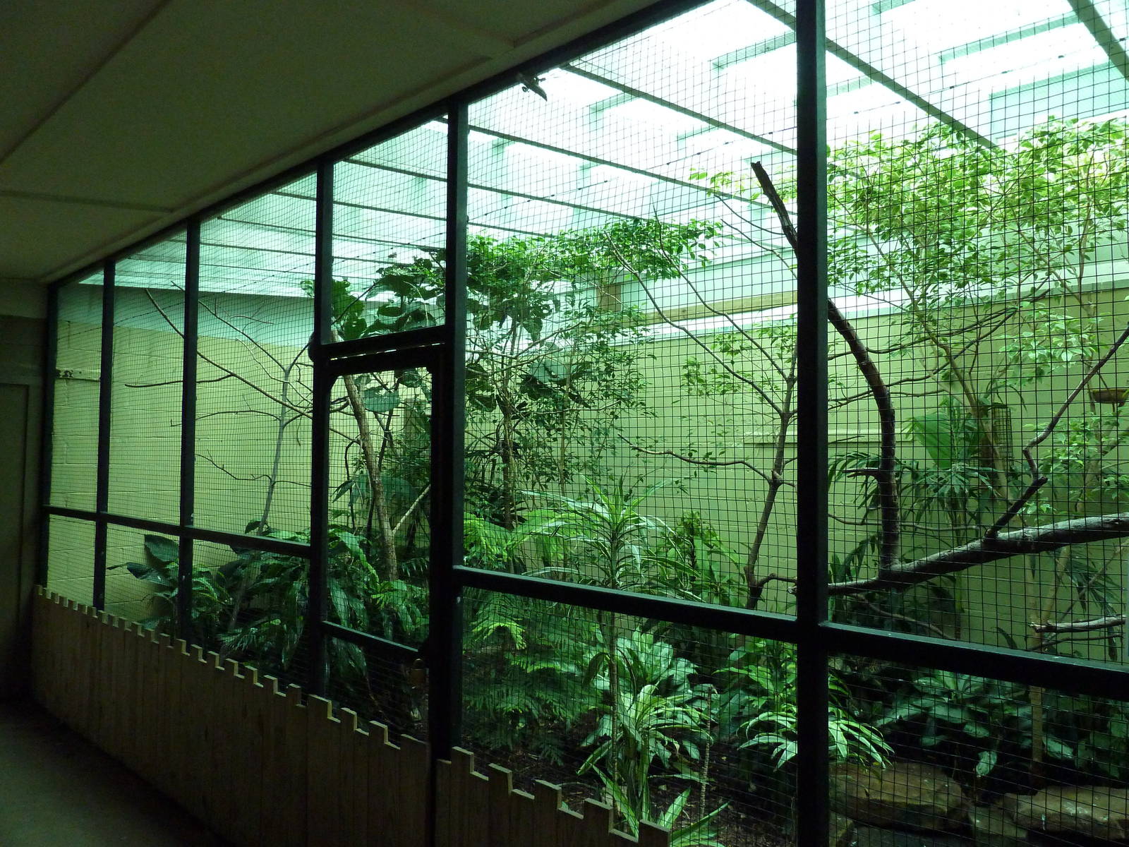 Avian Mixed-Species Exhibit