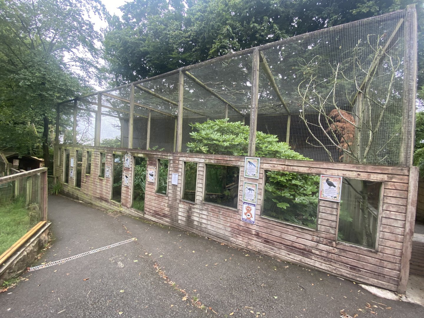 Aviaries 020822