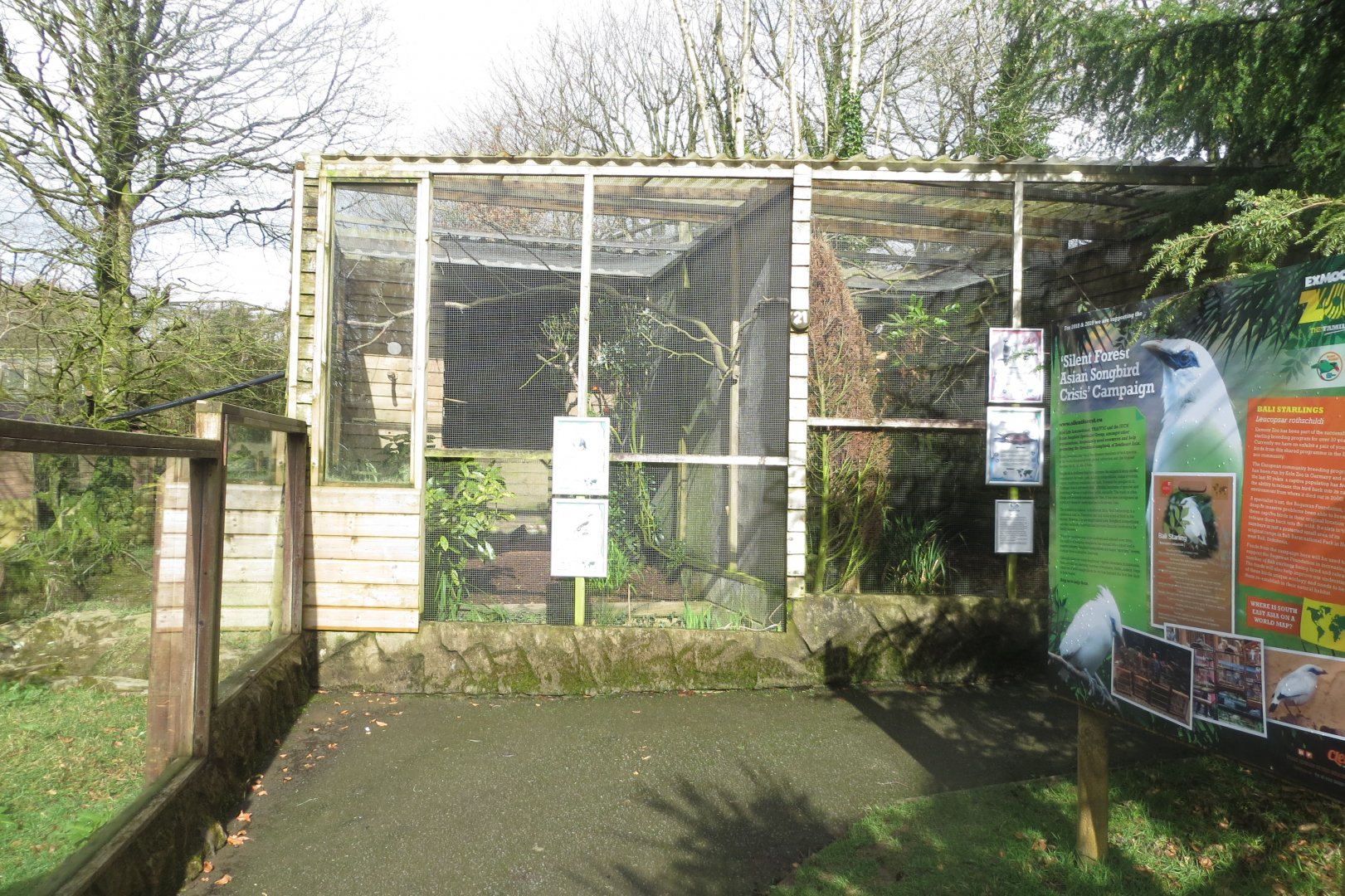 Aviaries 040319