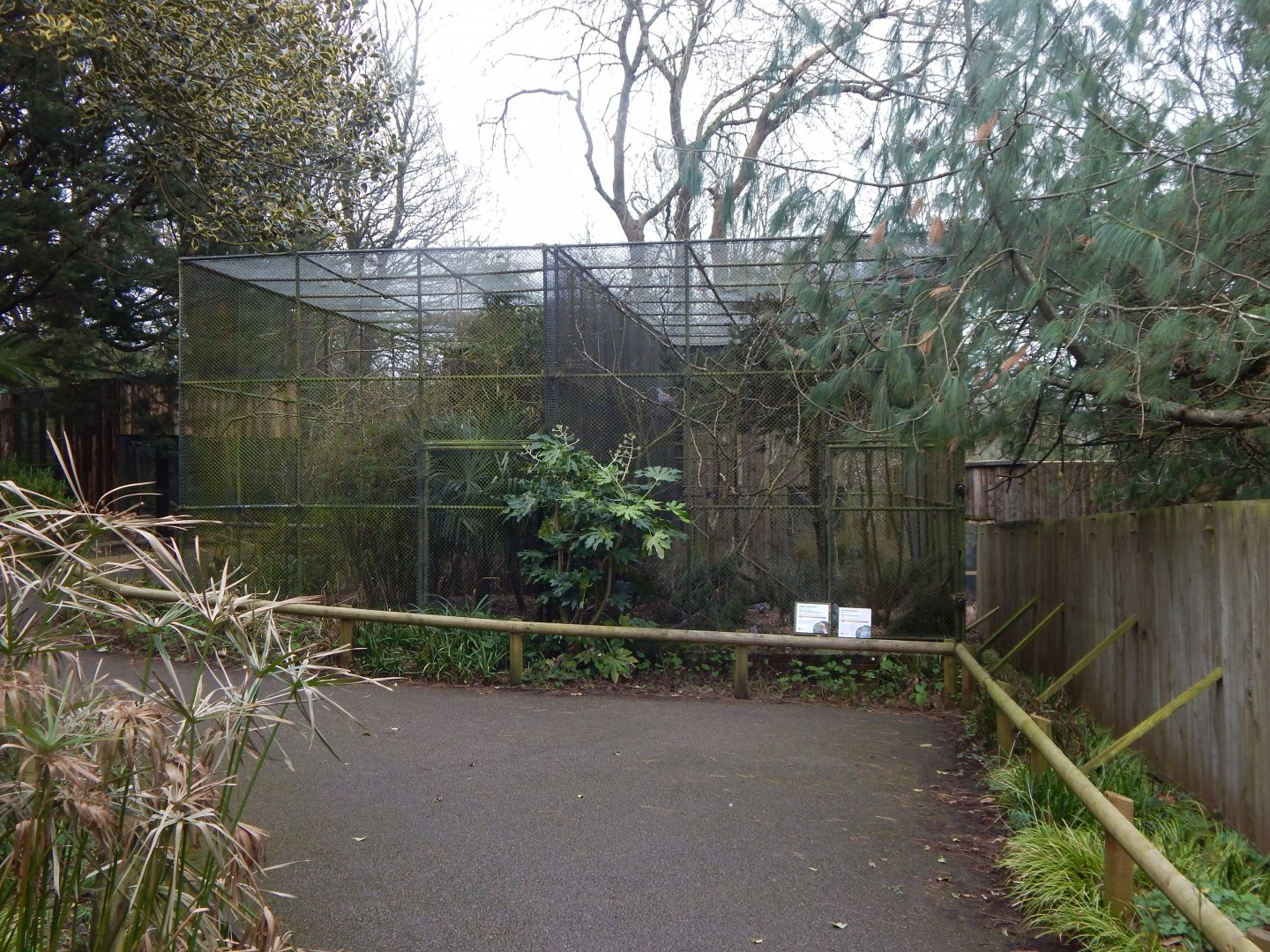 Aviaries 050224