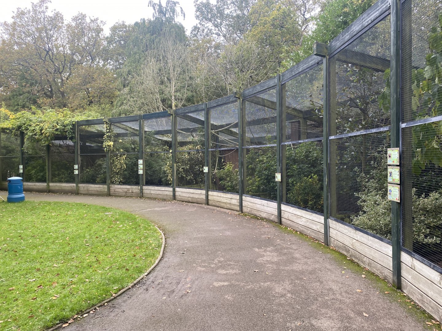 Aviaries 061121