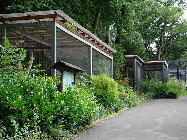 Aviaries (07/22) (Species in description)