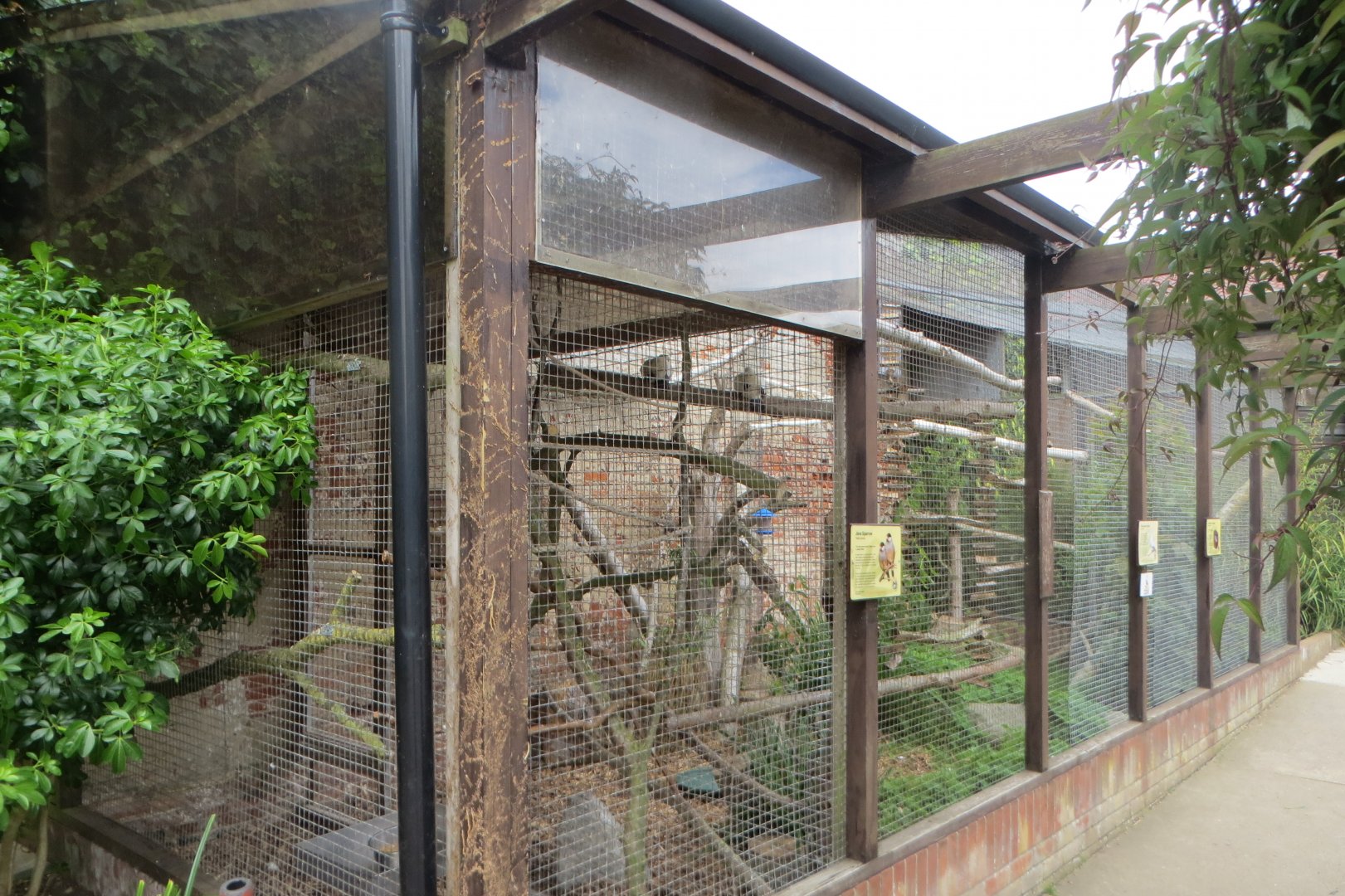Aviaries 070819