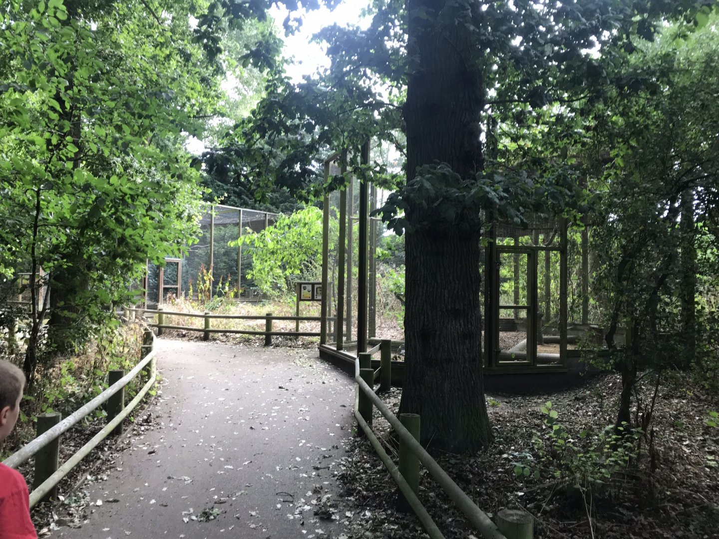 Aviaries 080818