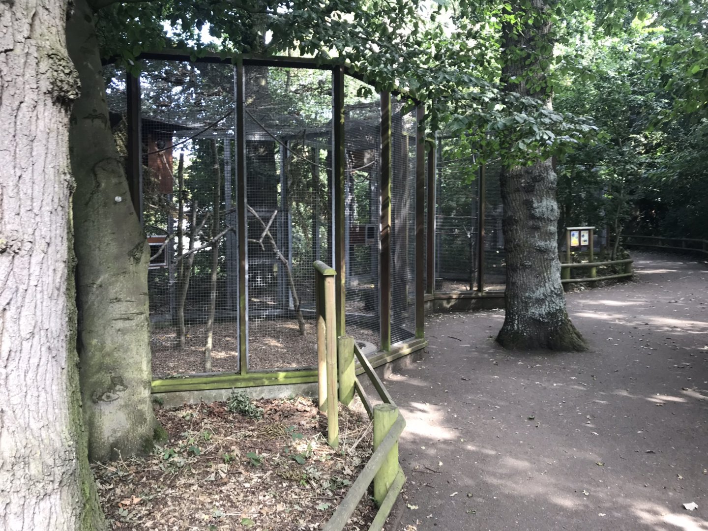 Aviaries 080818