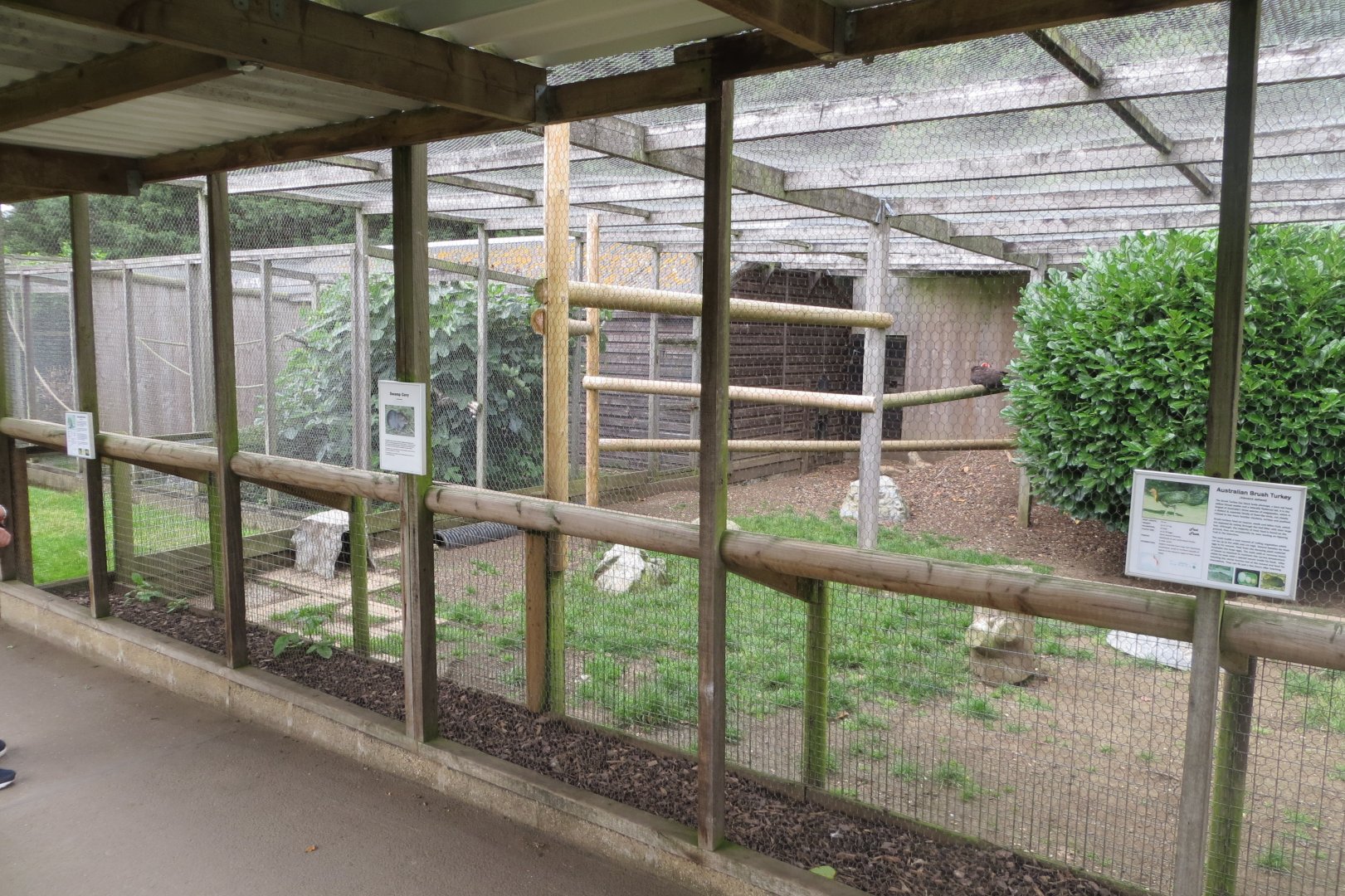 Aviaries 100819