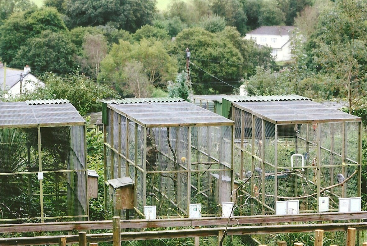 Aviaries 10th September 2012