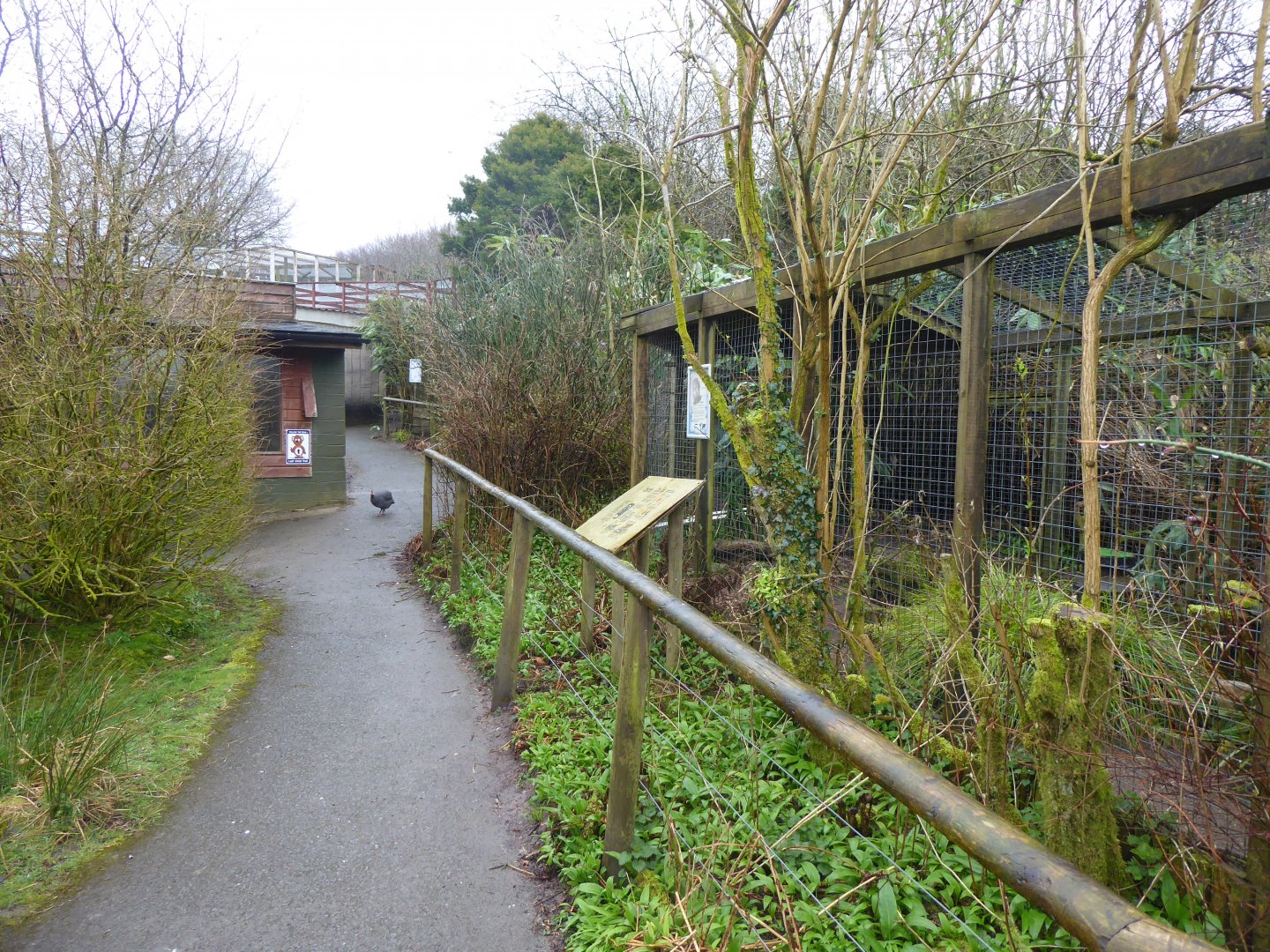 Aviaries 150418