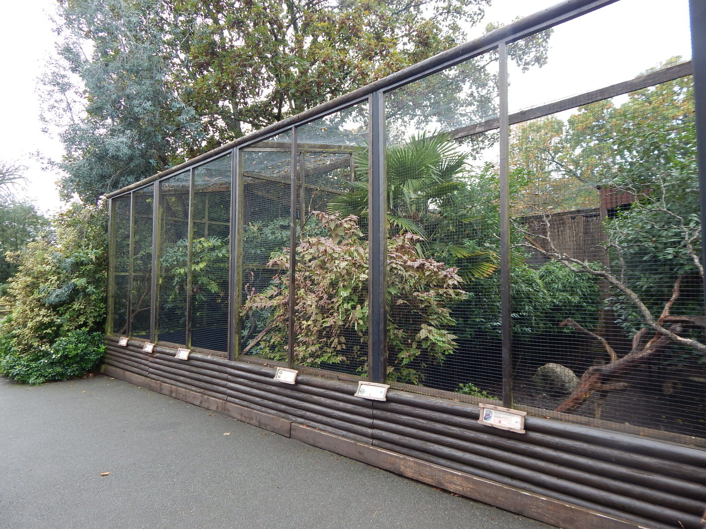 Aviaries 221022