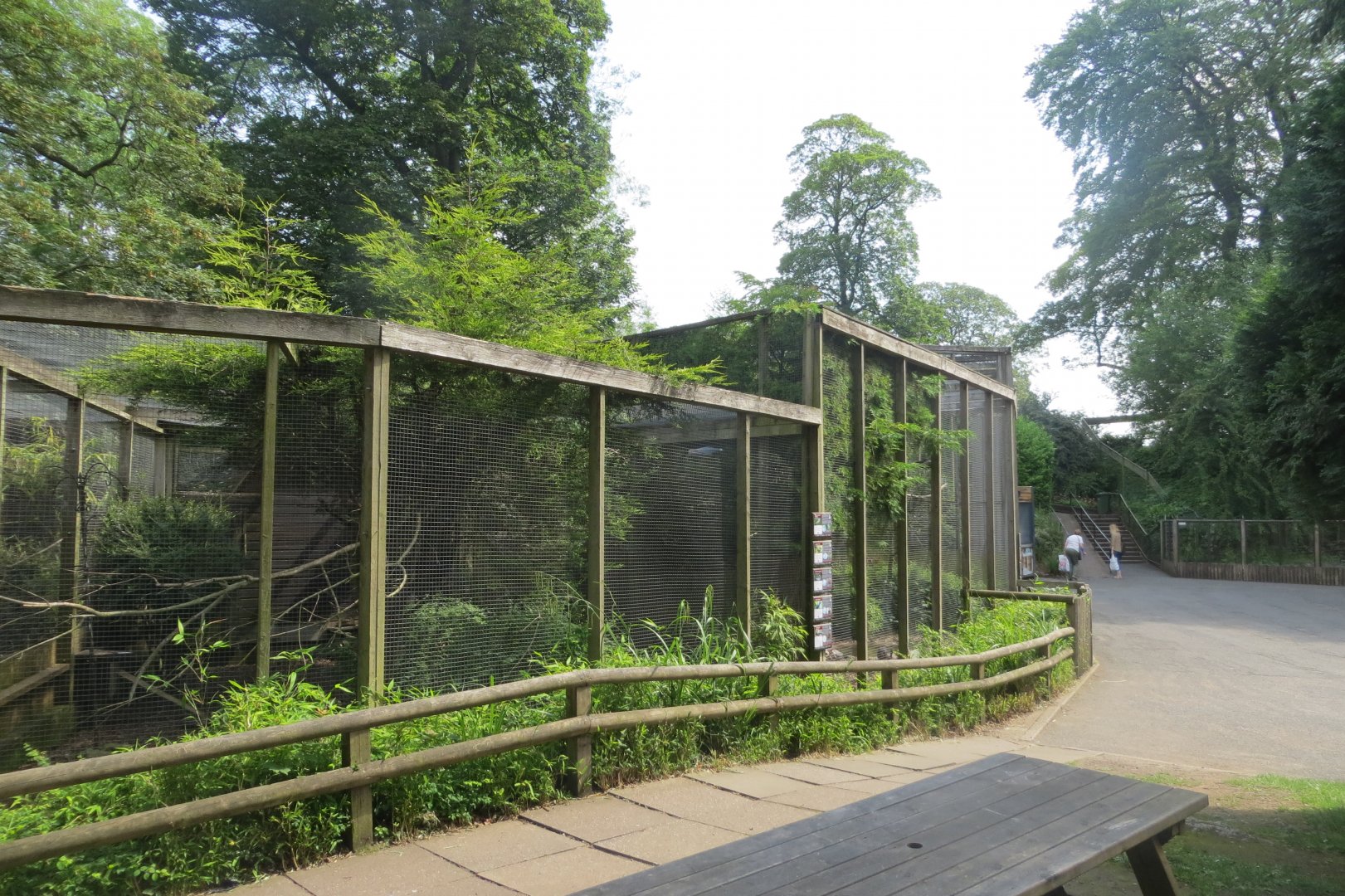 Aviaries 230619