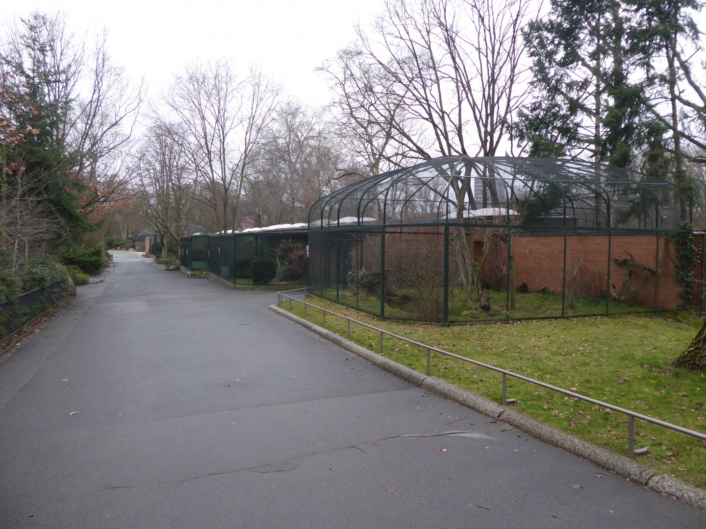 Aviaries 290118