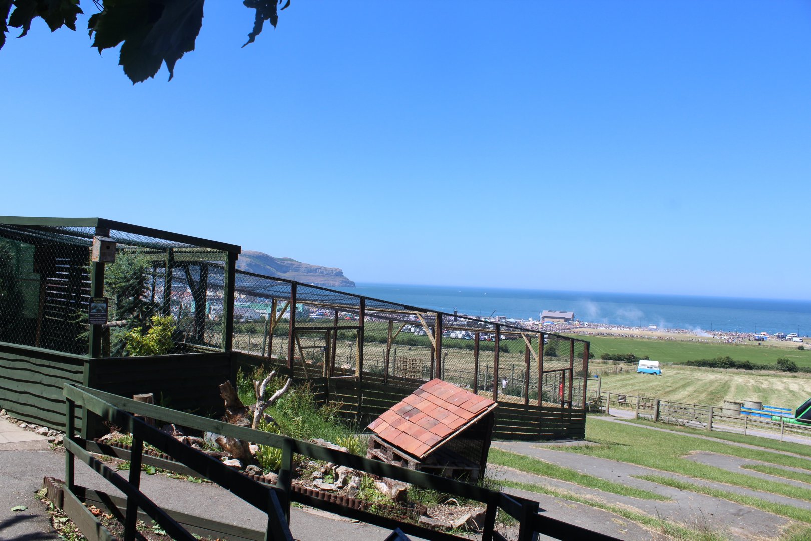 aviaries 30th June 2018