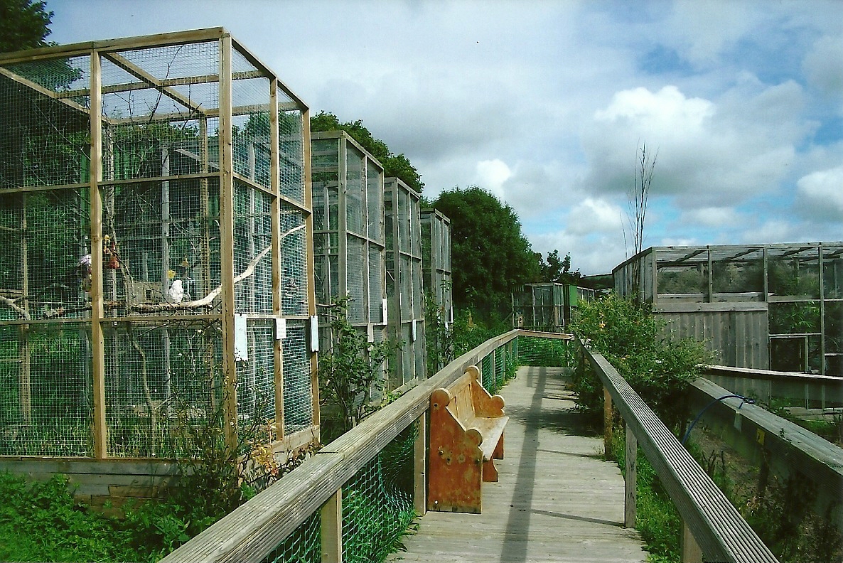 Aviaries 5th September 2011