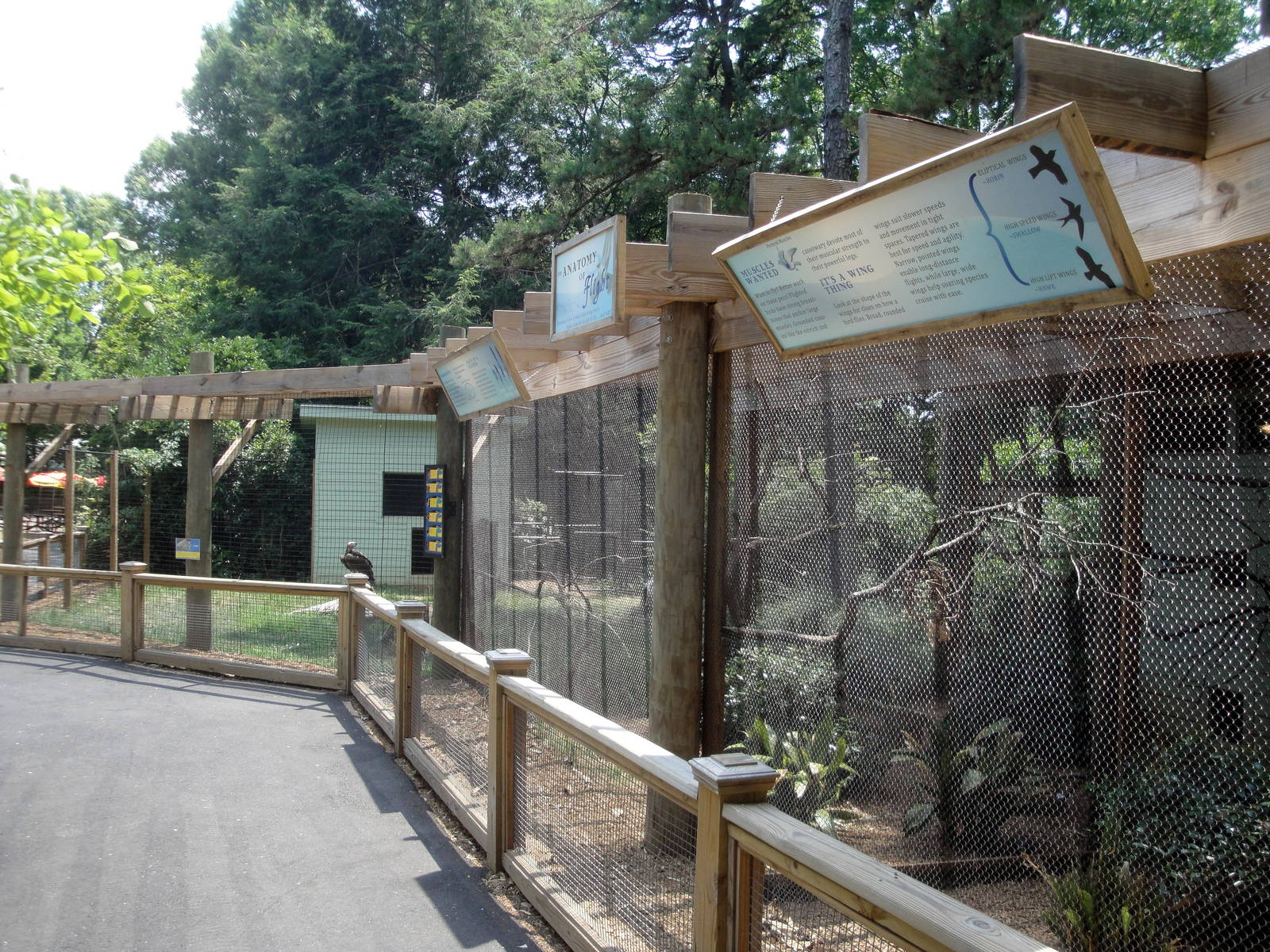 Aviaries Across from the Elephant Barn