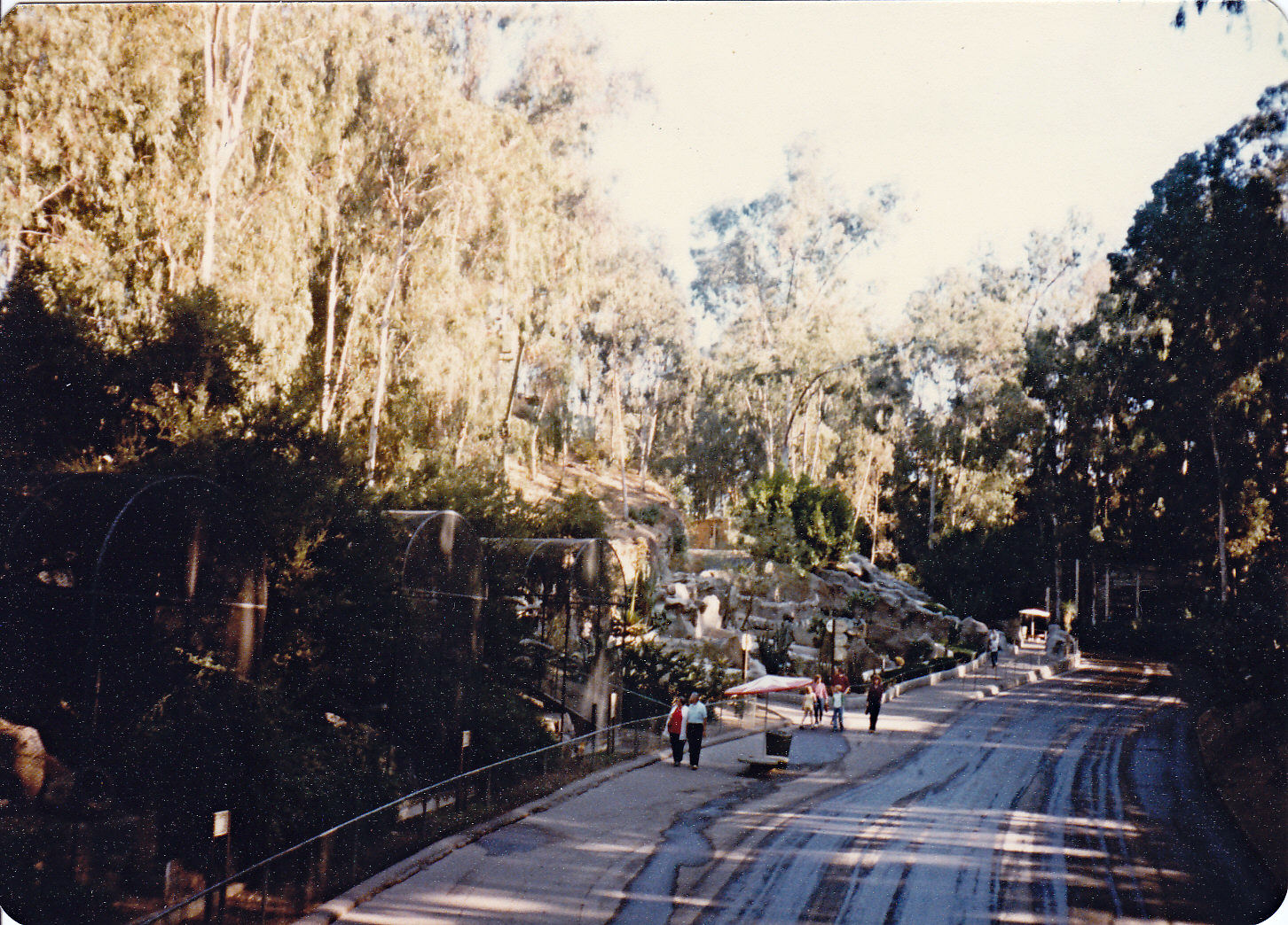 Aviaries and Grottos - 1981