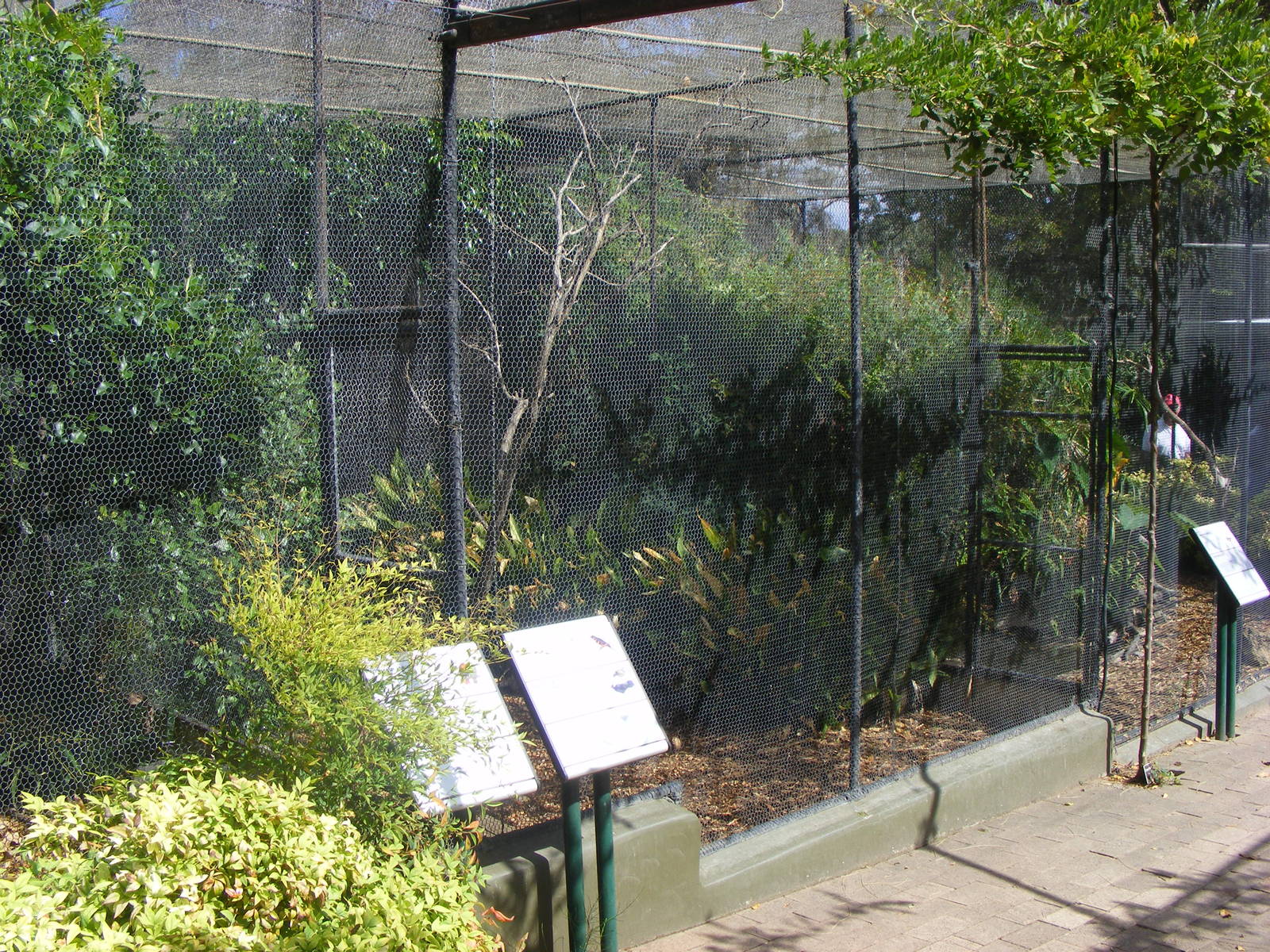 Aviaries - April, 2010