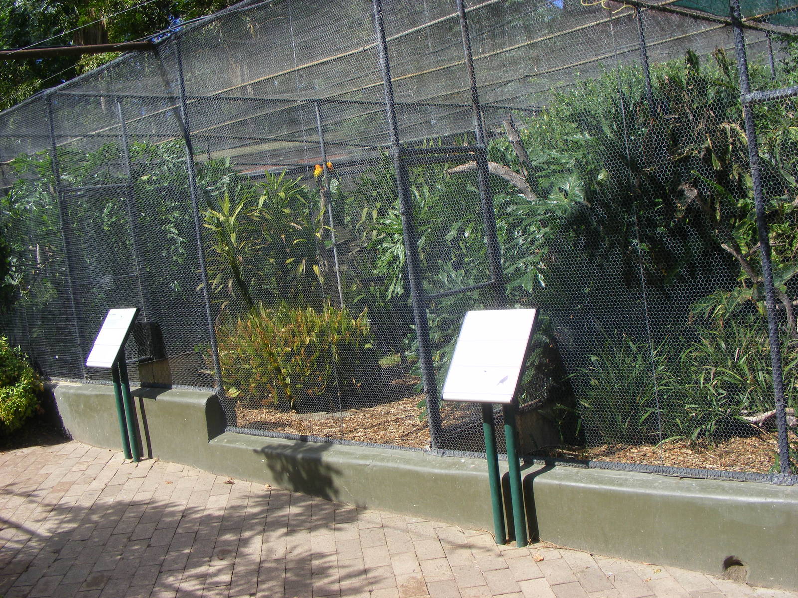 Aviaries - April, 2010