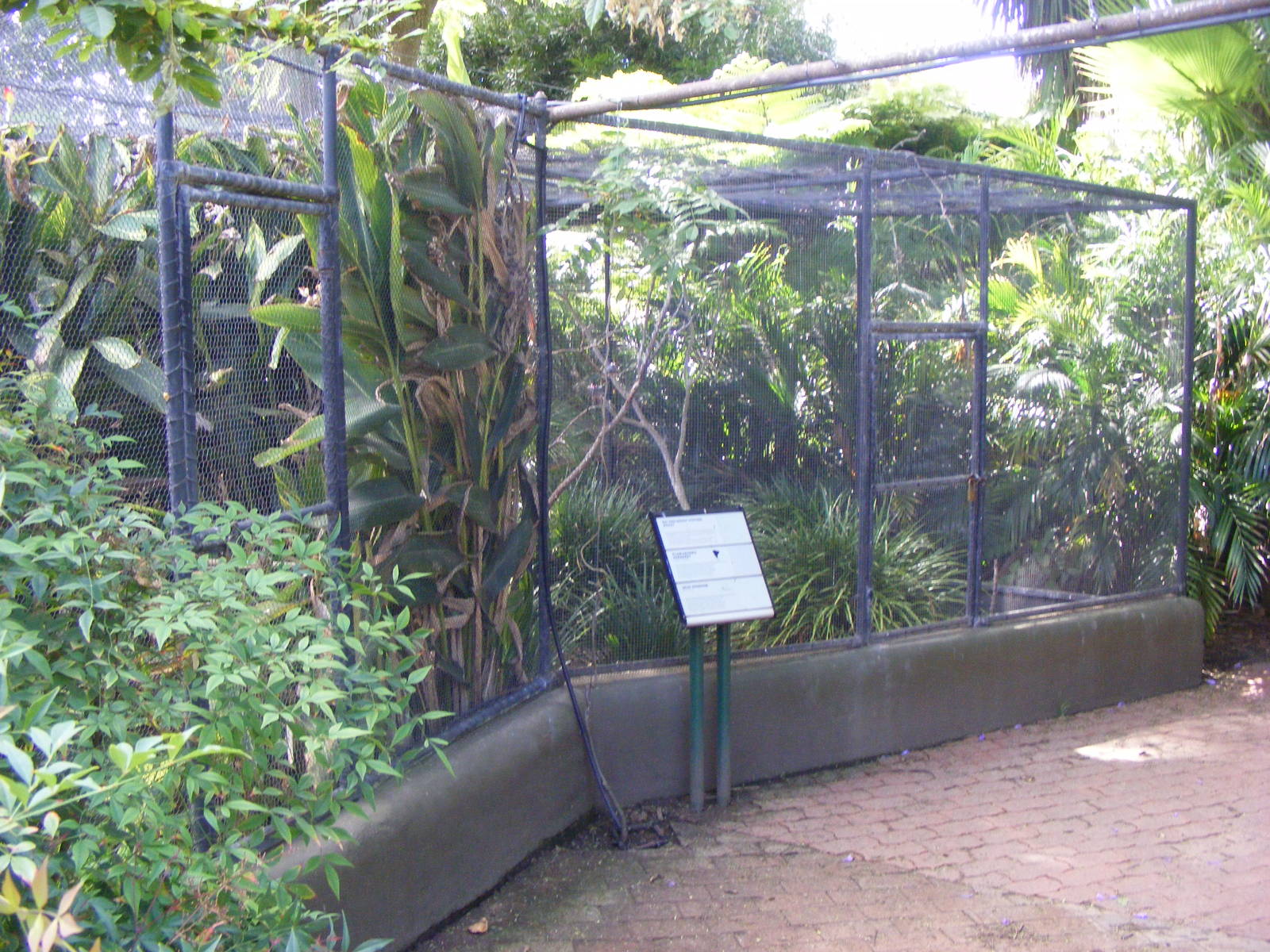 Aviaries - April, 2010
