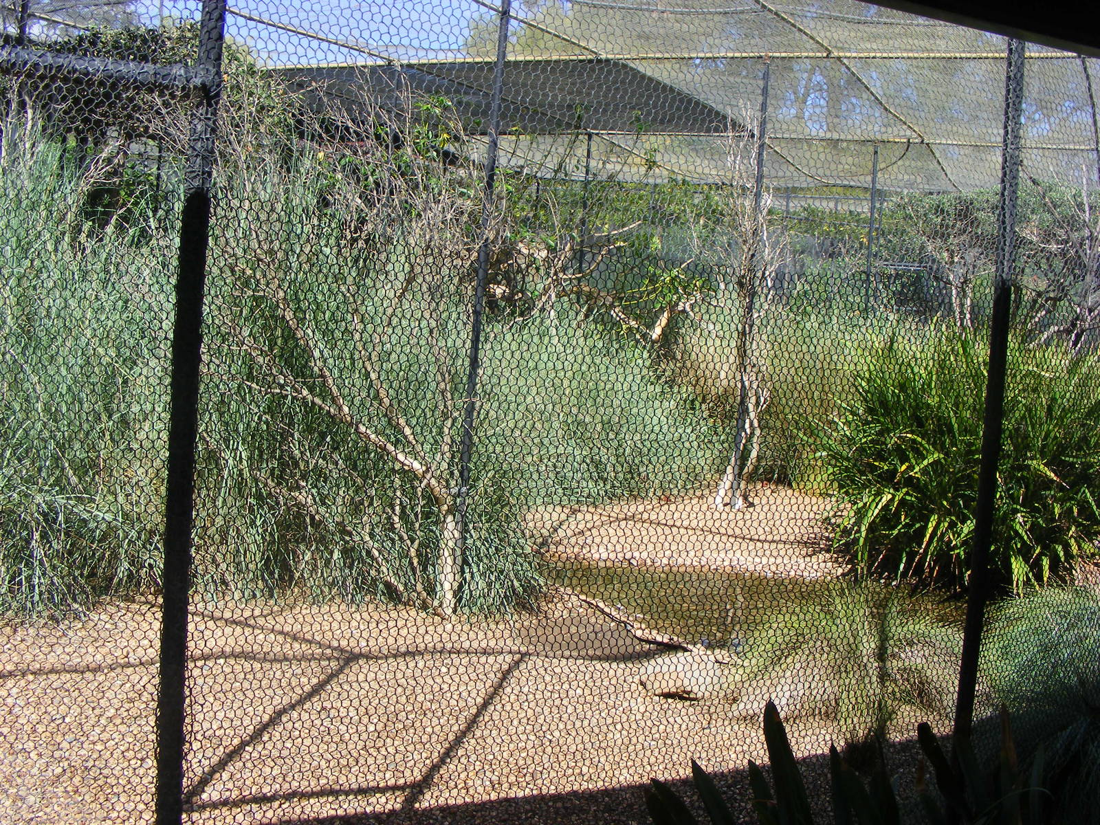 Aviaries - April, 2010