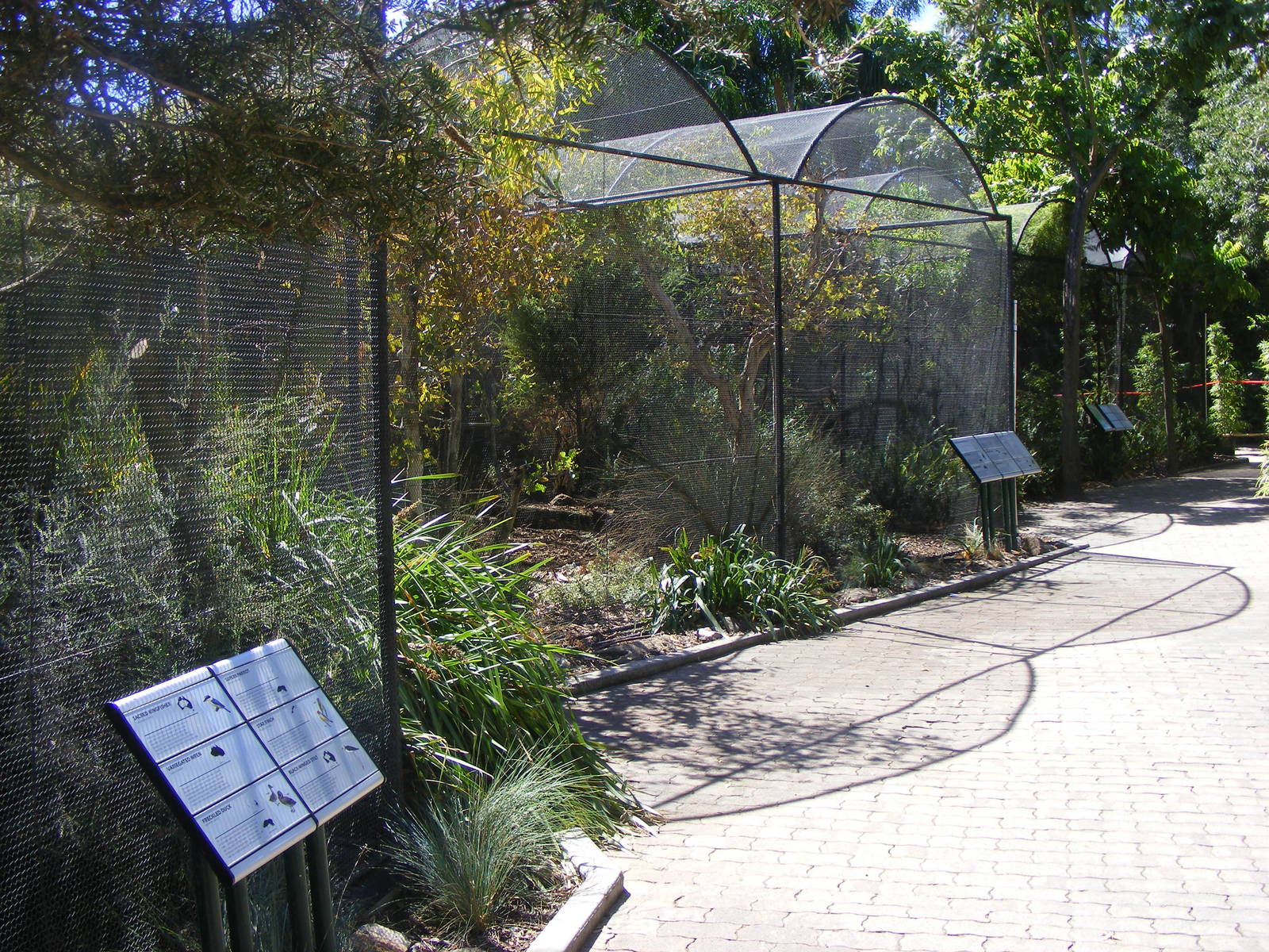 Aviaries - April, 2010