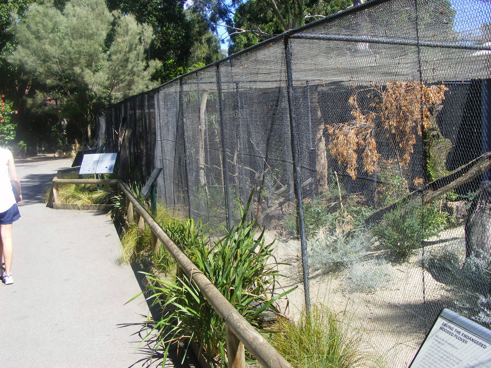 Aviaries - April, 2010