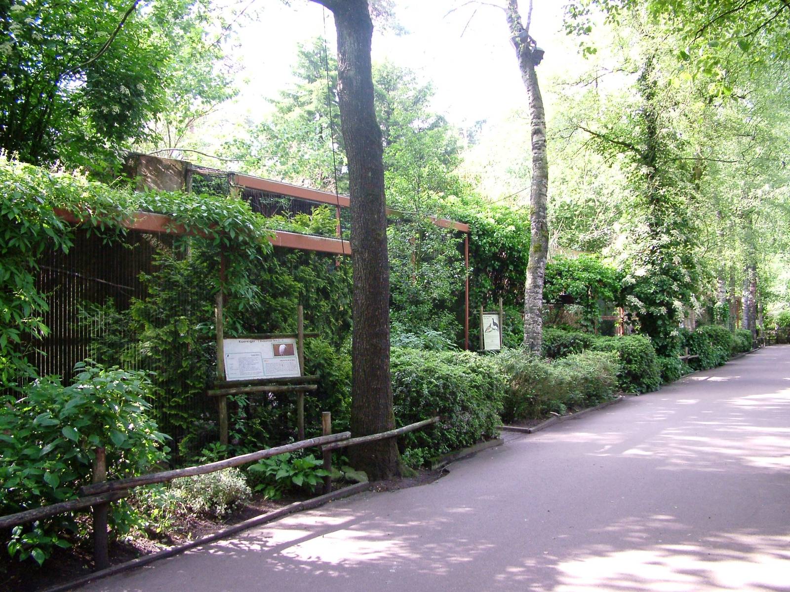 Aviaries at Amersfoort, 01/06/12