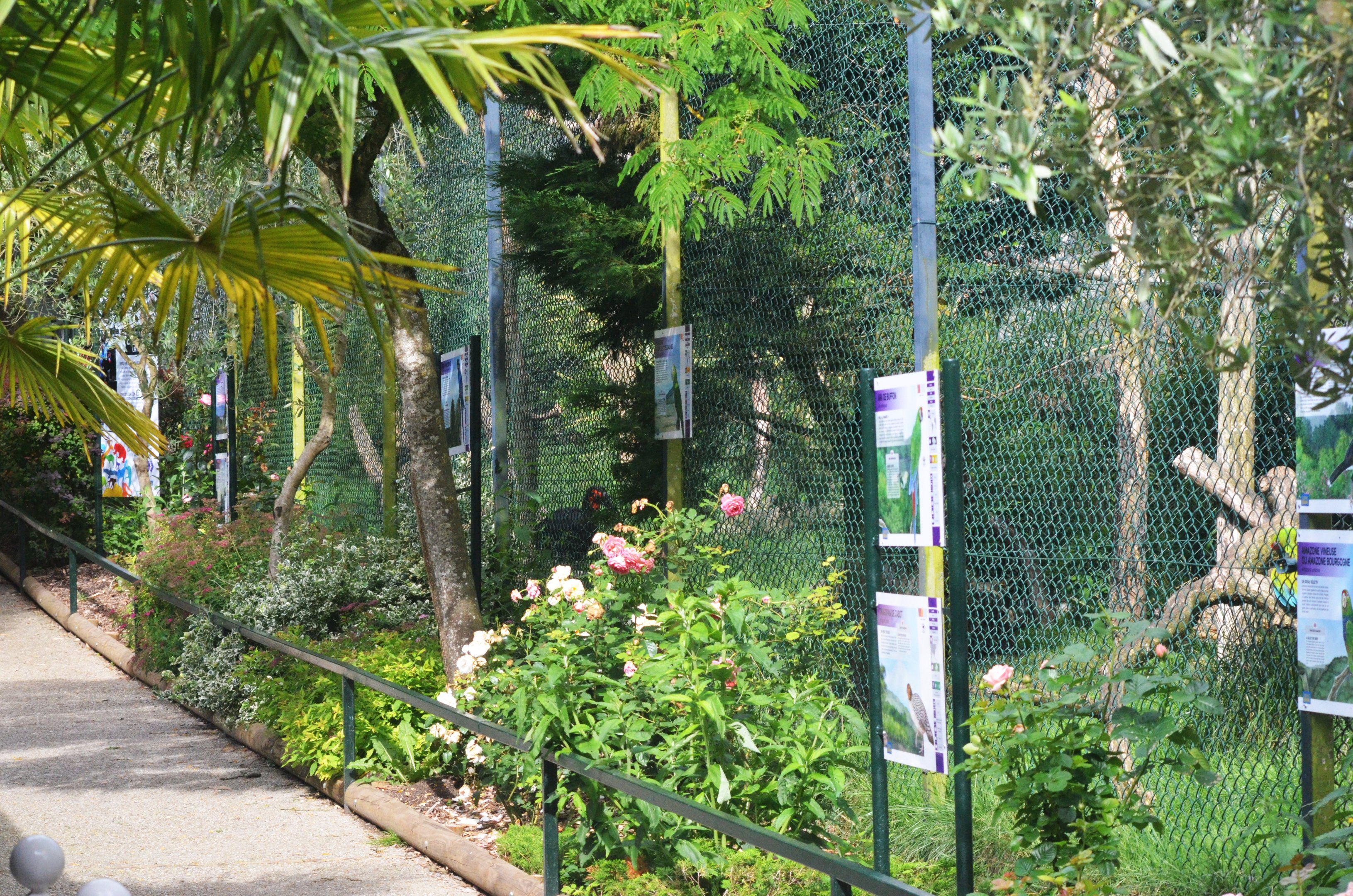 Aviaries at Beauval, 12/06/18