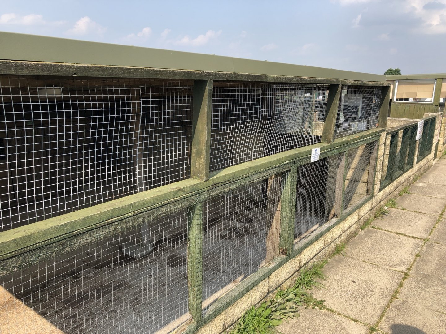 Aviaries at Charlotte's Ice Cream Parlour (July 2021)