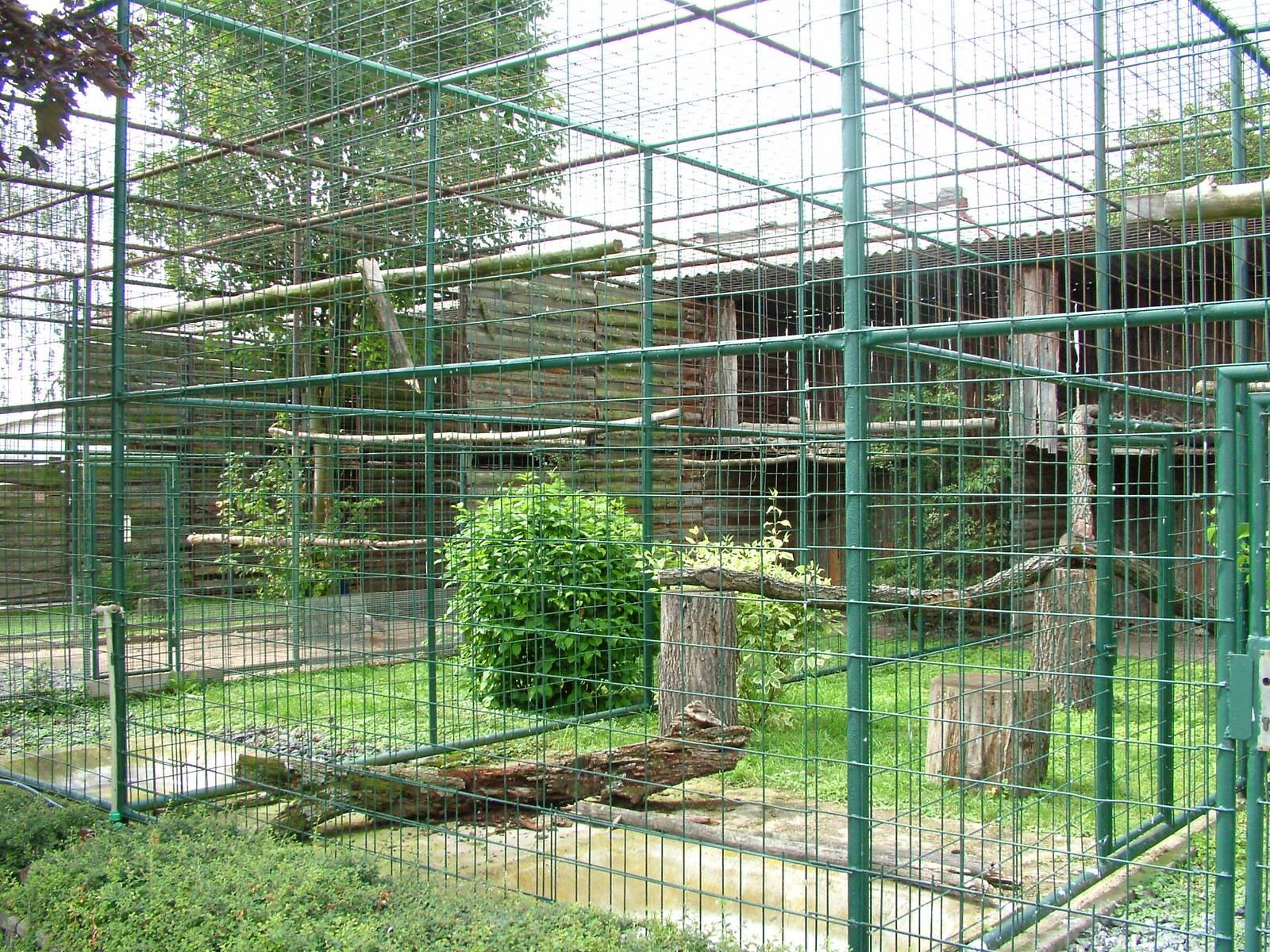 Aviaries at Chleby, 26/08/12