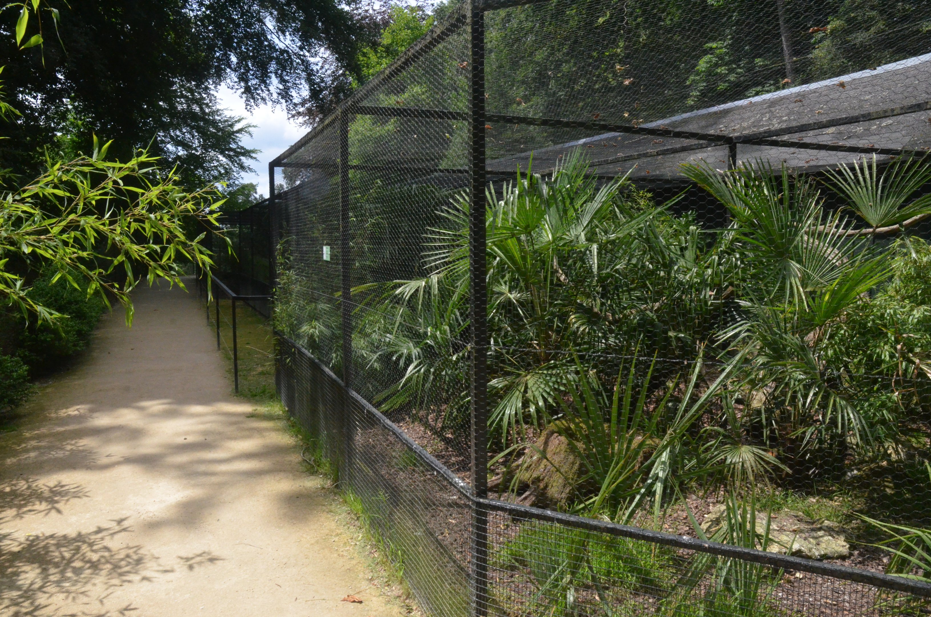 Aviaries at Clères, 16/06/18