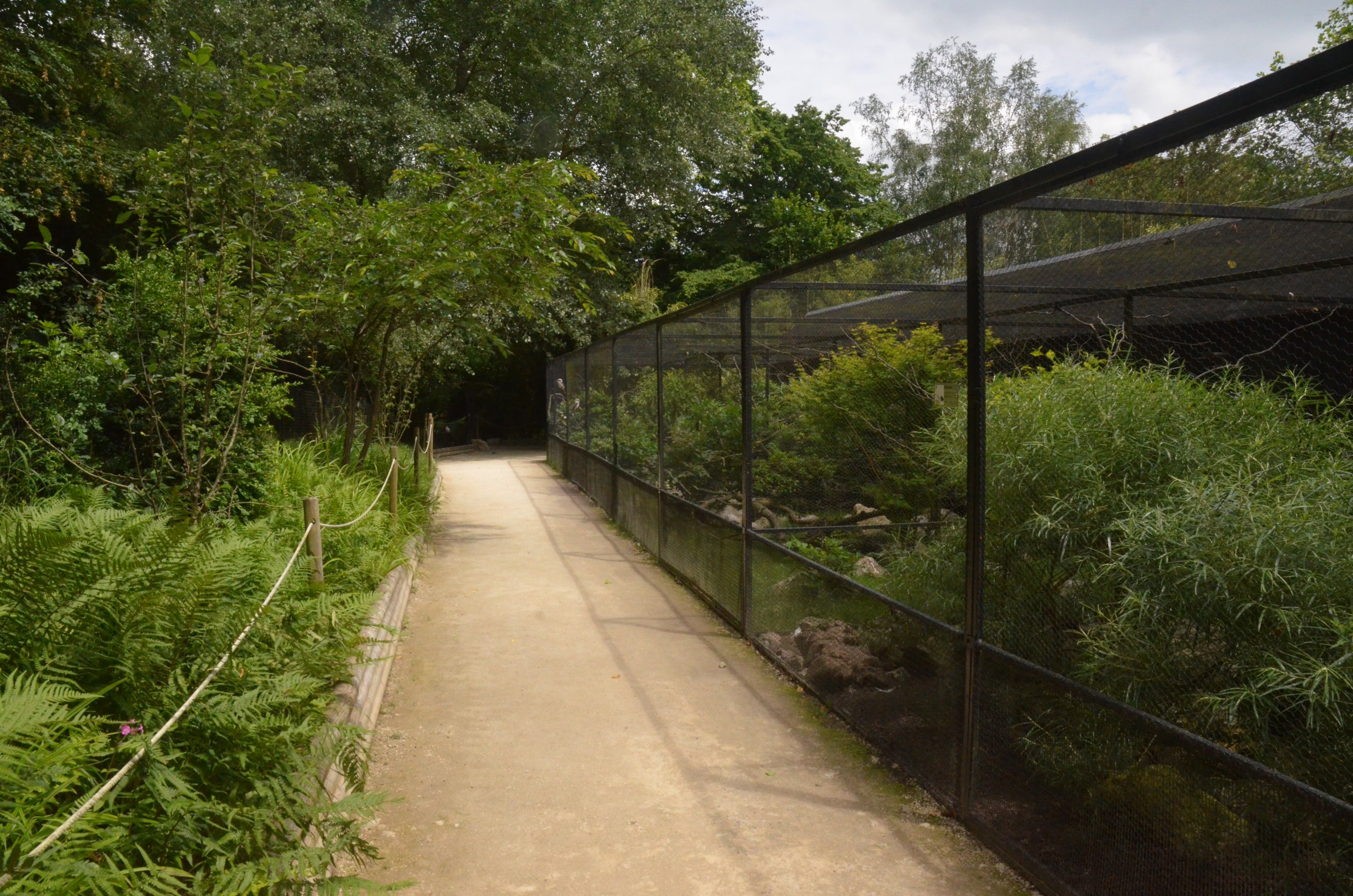 Aviaries at Clères, 16/06/18