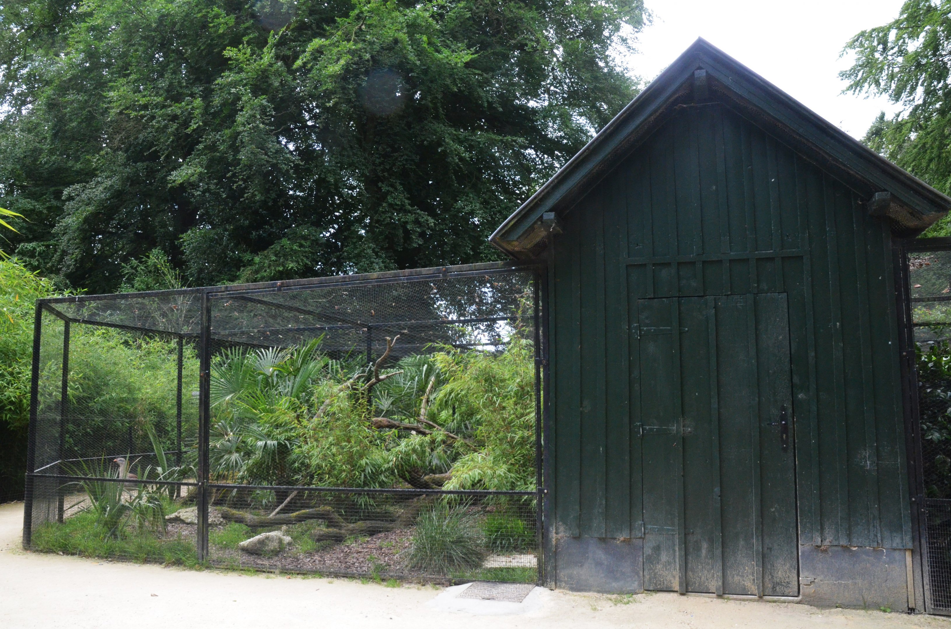 Aviaries at Clères, 16/06/18