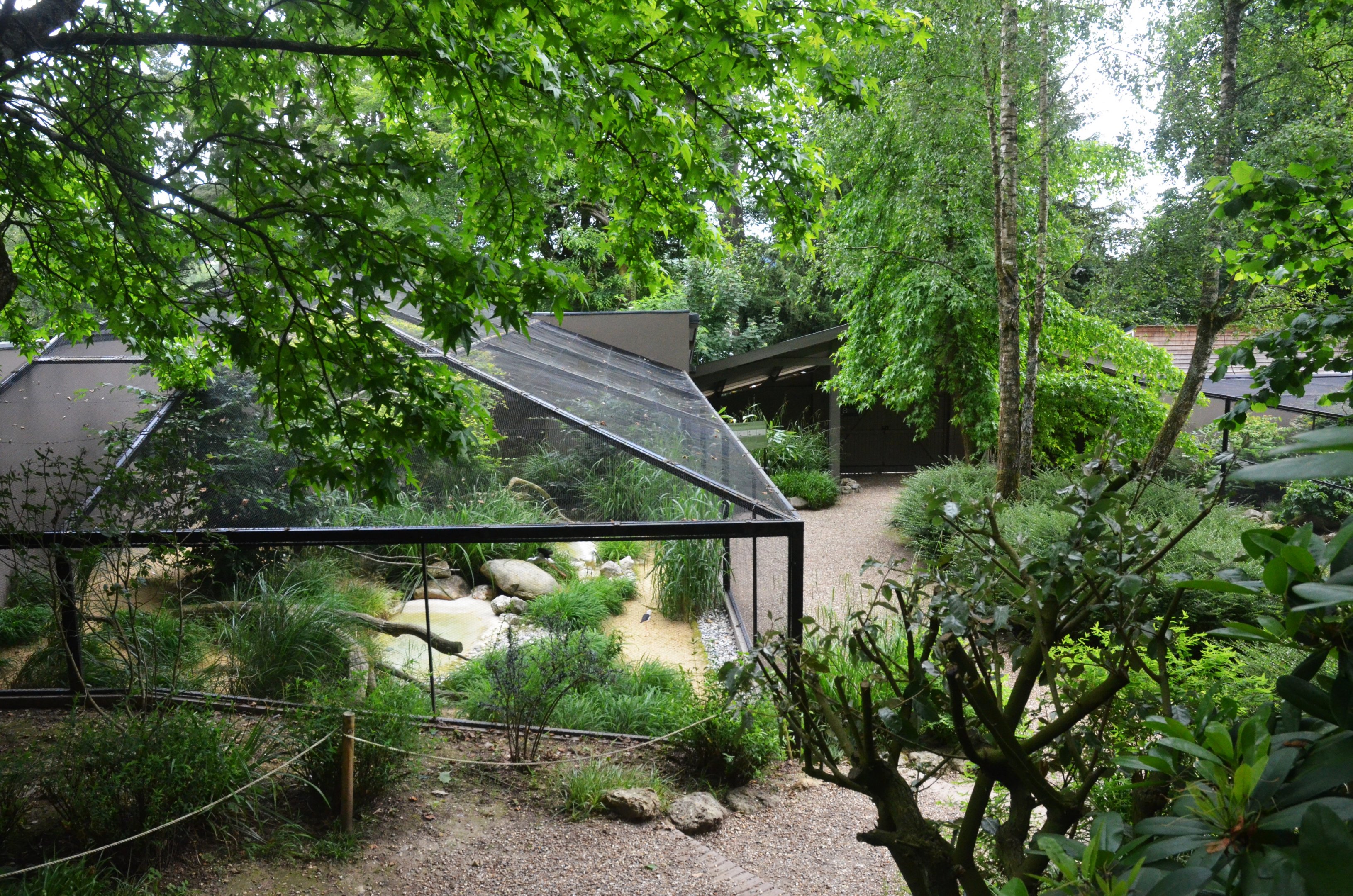 Aviaries at Clères, 16/06/18