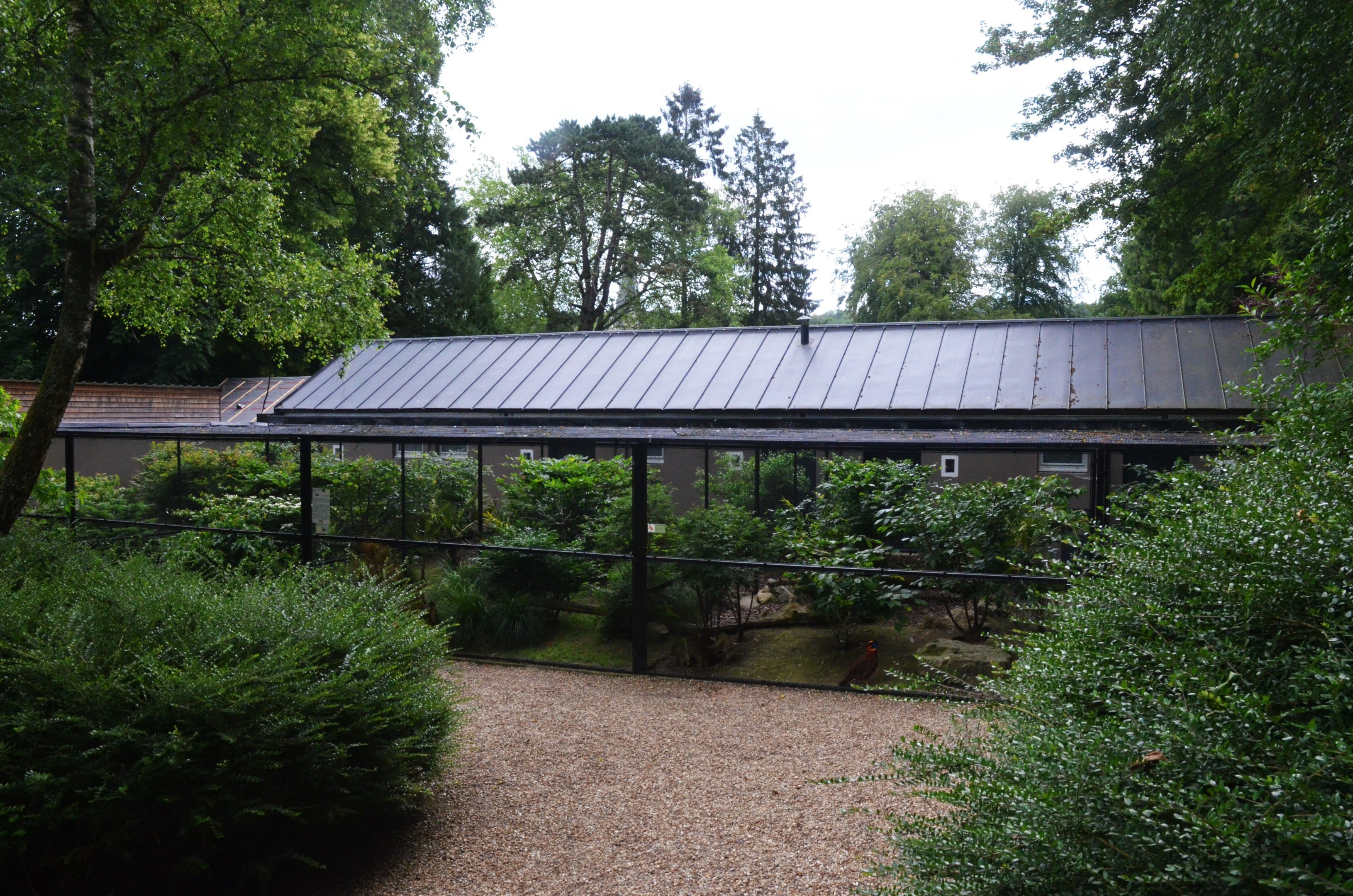 Aviaries at Clères, 16/06/18