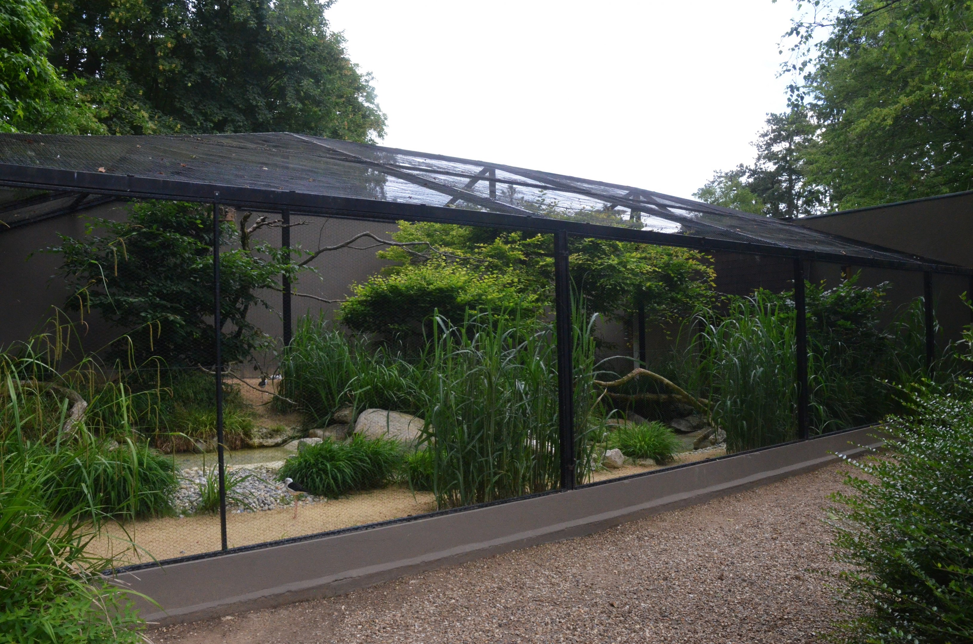 Aviaries at Clères, 16/06/18