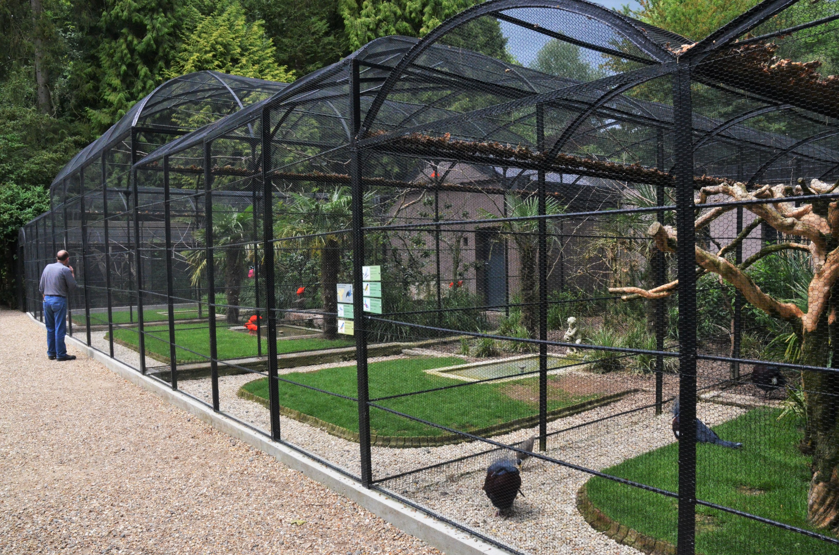 Aviaries at Clères, 16/06/18