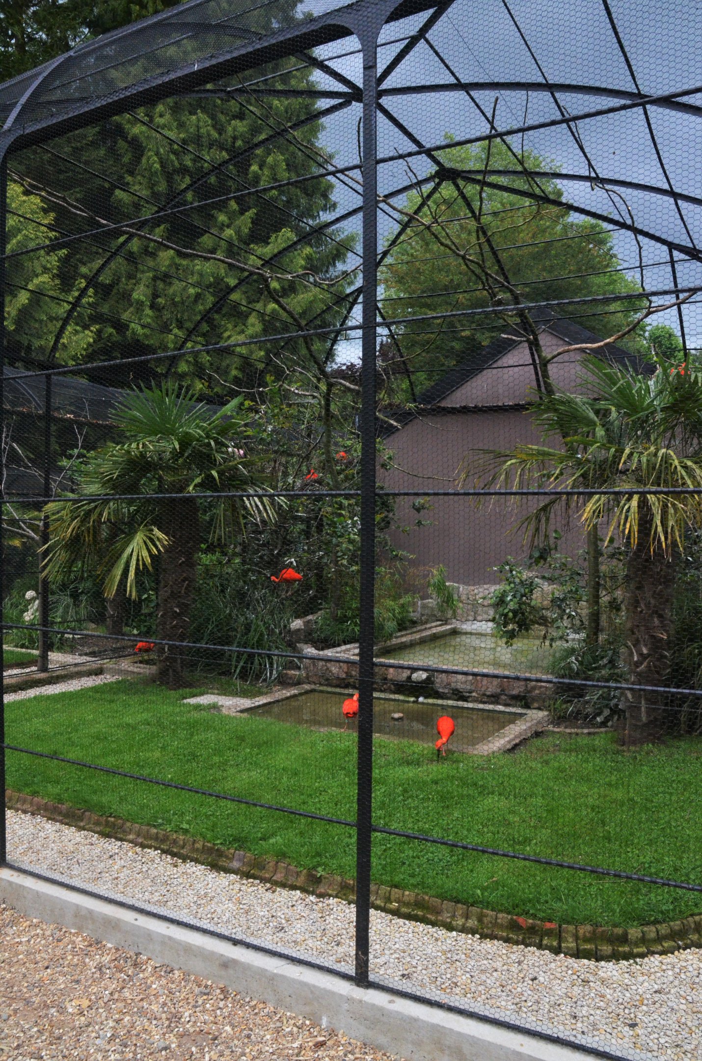 Aviaries at Clères, 16/06/18