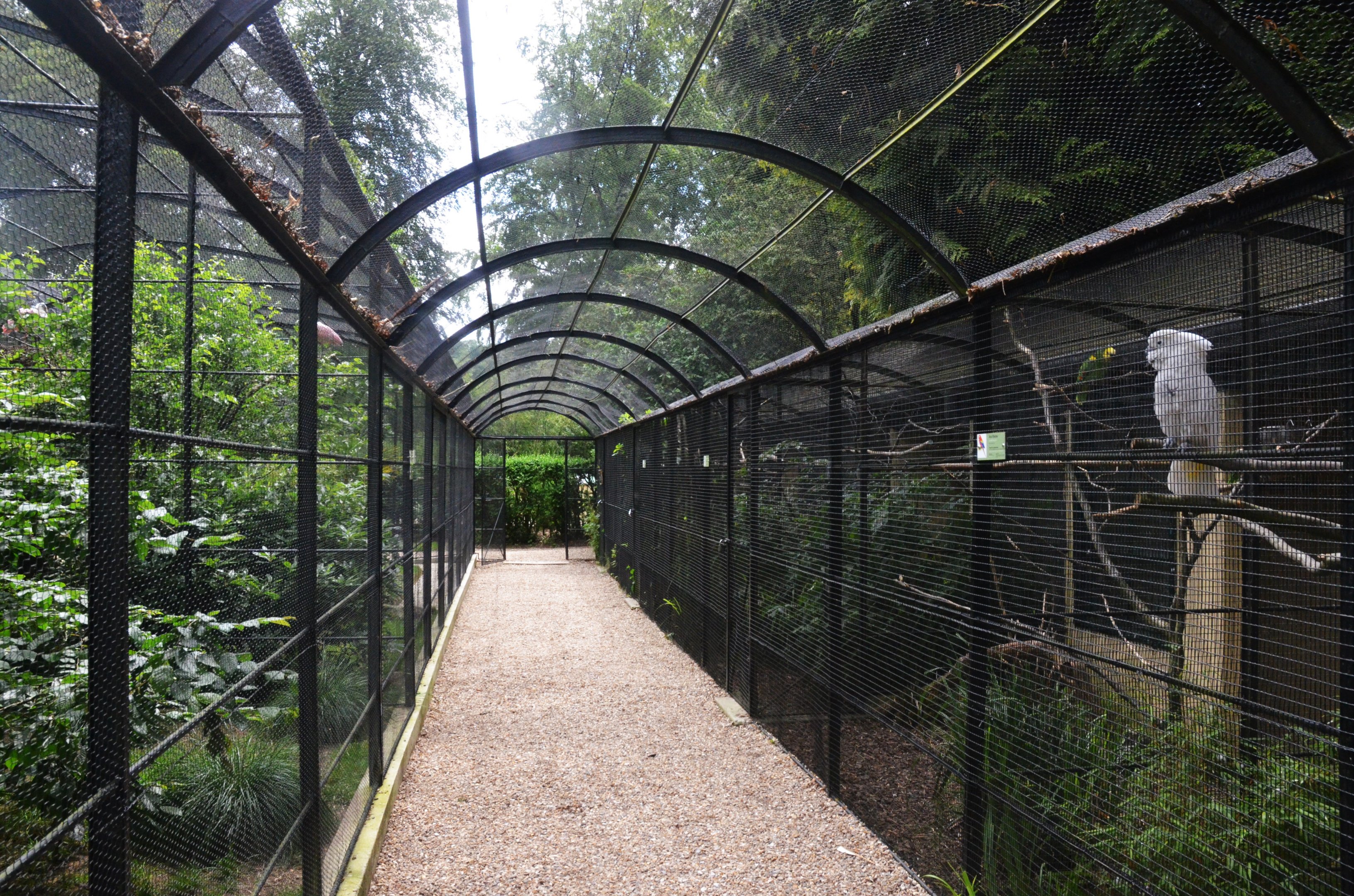 Aviaries at Clères, 16/06/18