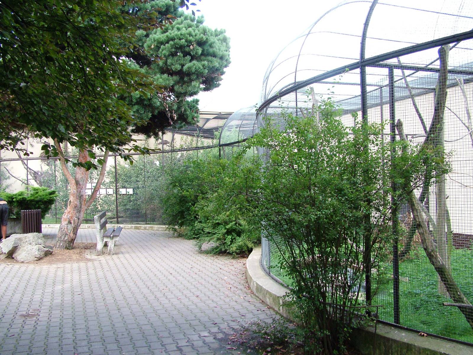 Aviaries at Dvur Kralove, 27/08/12