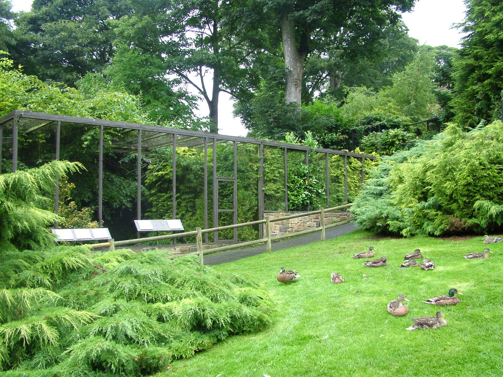 Aviaries at Harewood 01/08/09