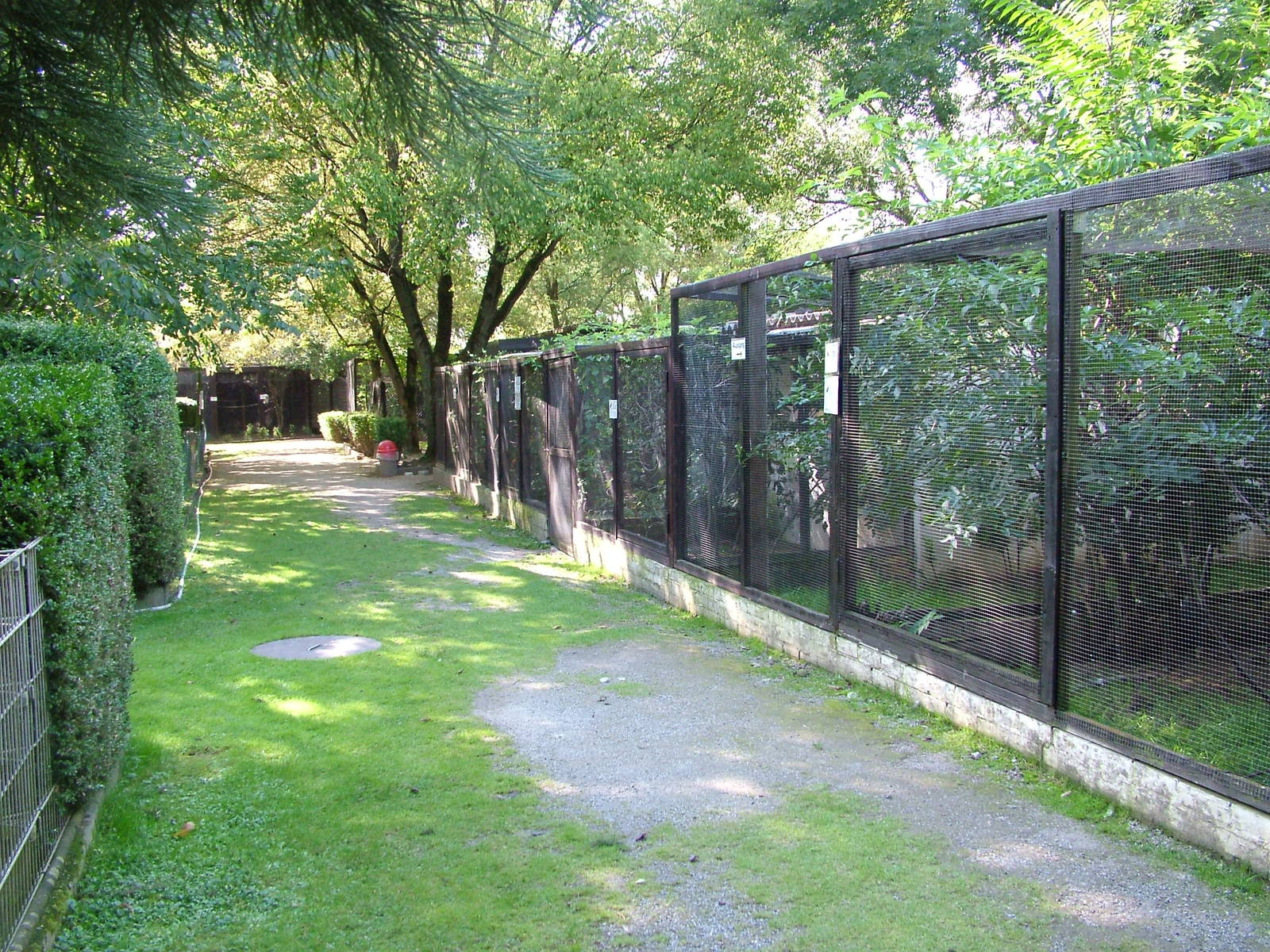 Aviaries at Heppenheim, 05/09/10