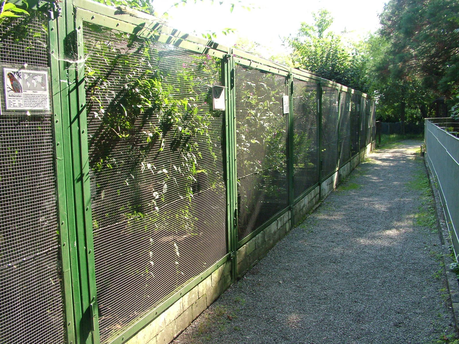 Aviaries at Heppenheim, 05/09/10