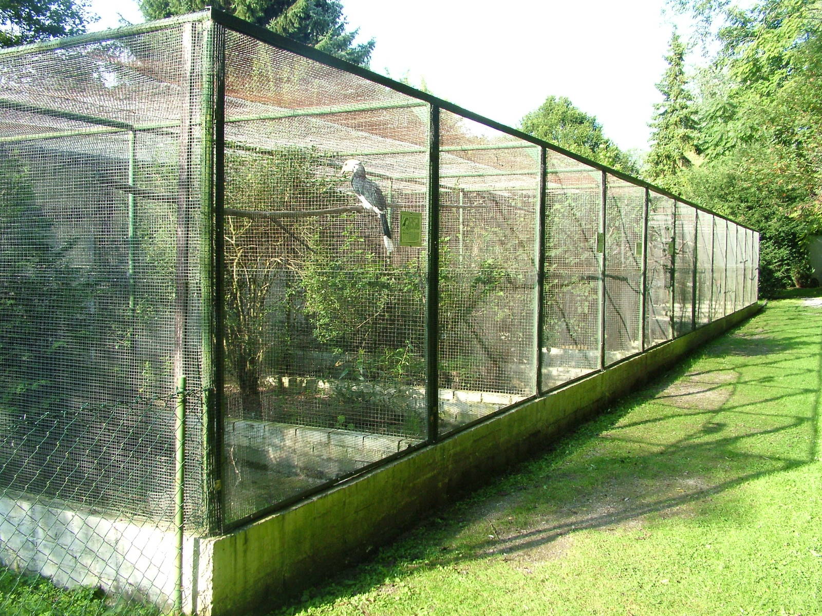 Aviaries at Heppenheim, 05/09/10